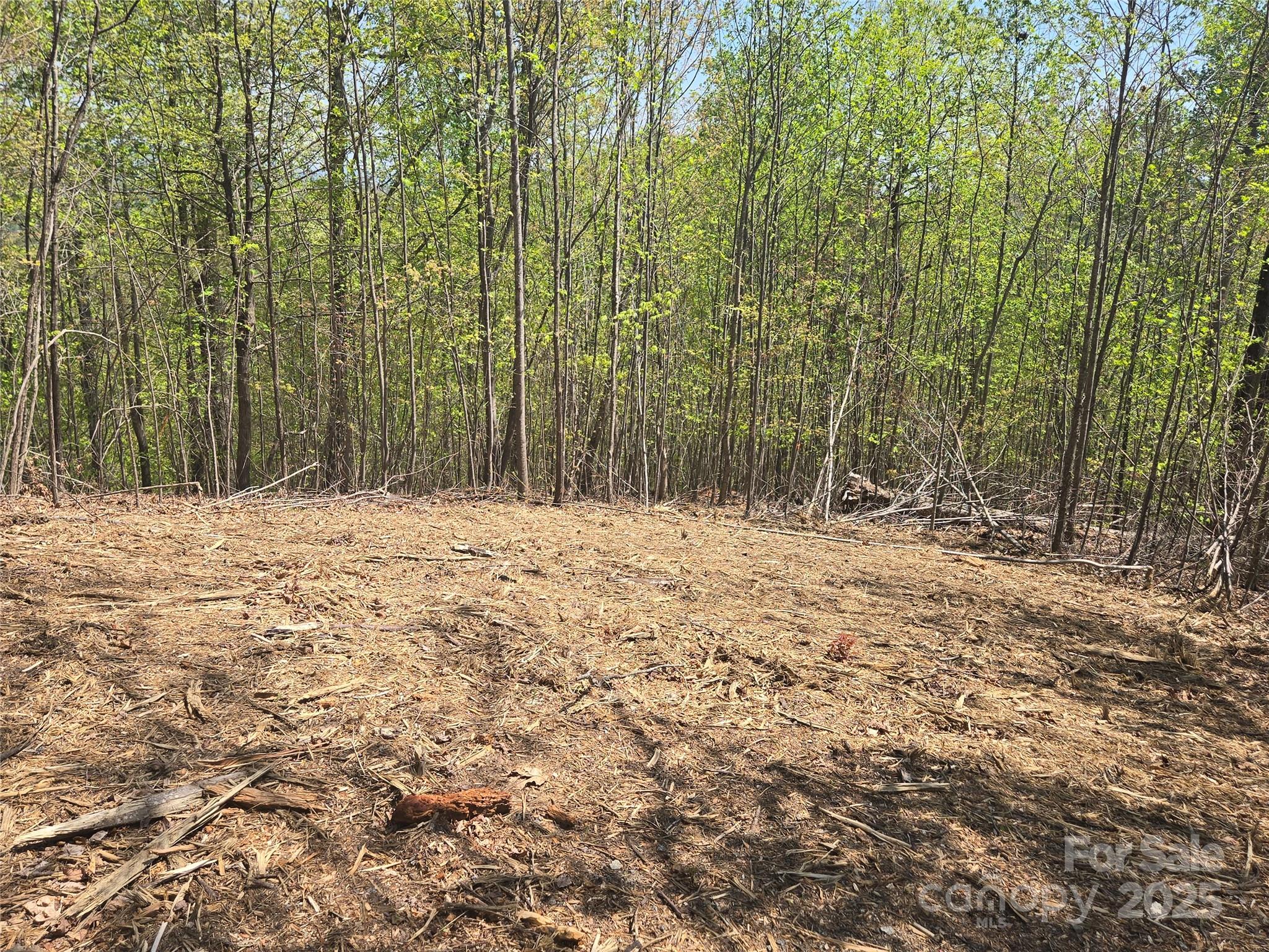 Lot 32 High Rock Ridge Property Photo 7