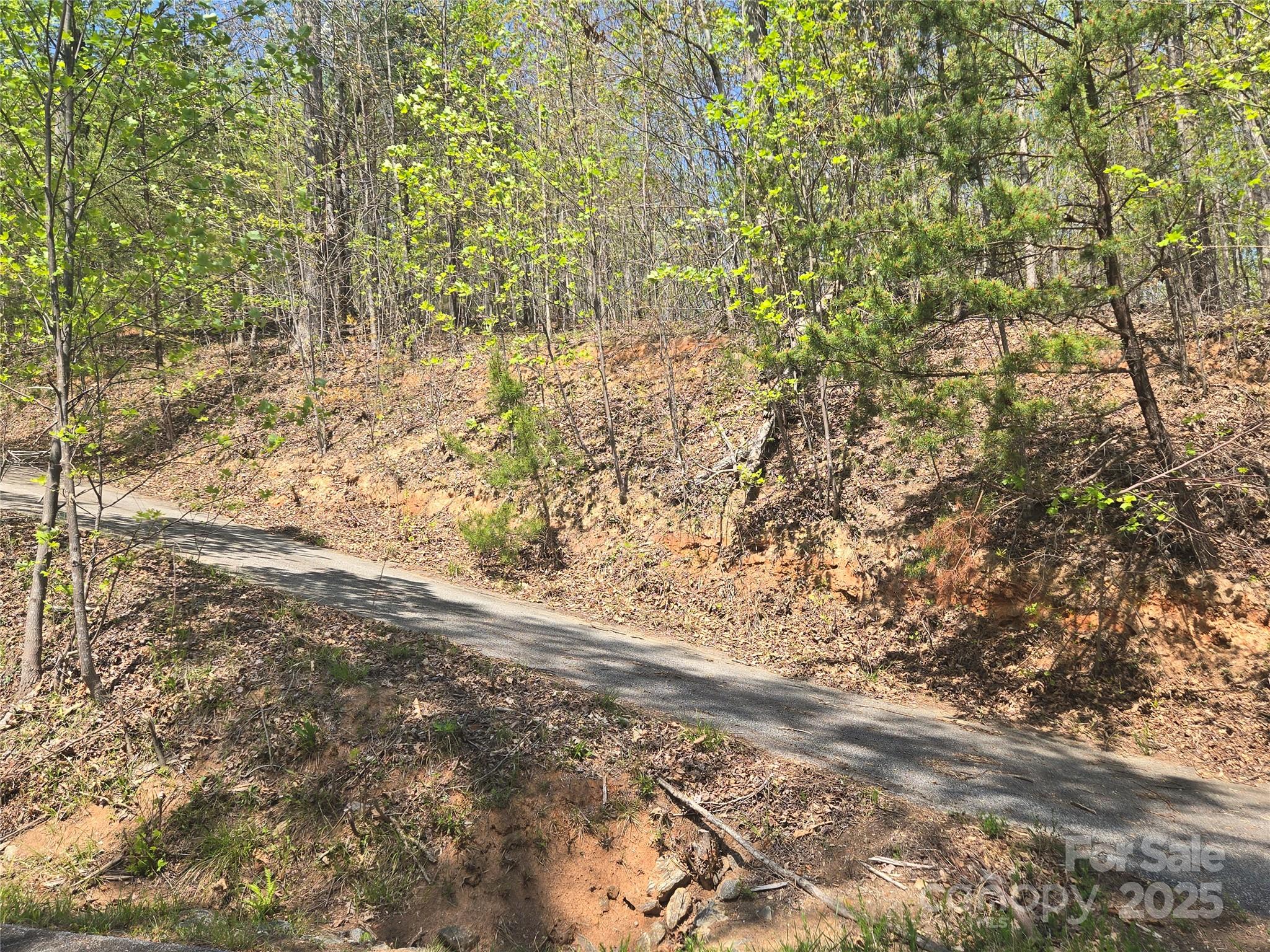 Lot 32 High Rock Ridge Property Photo 8