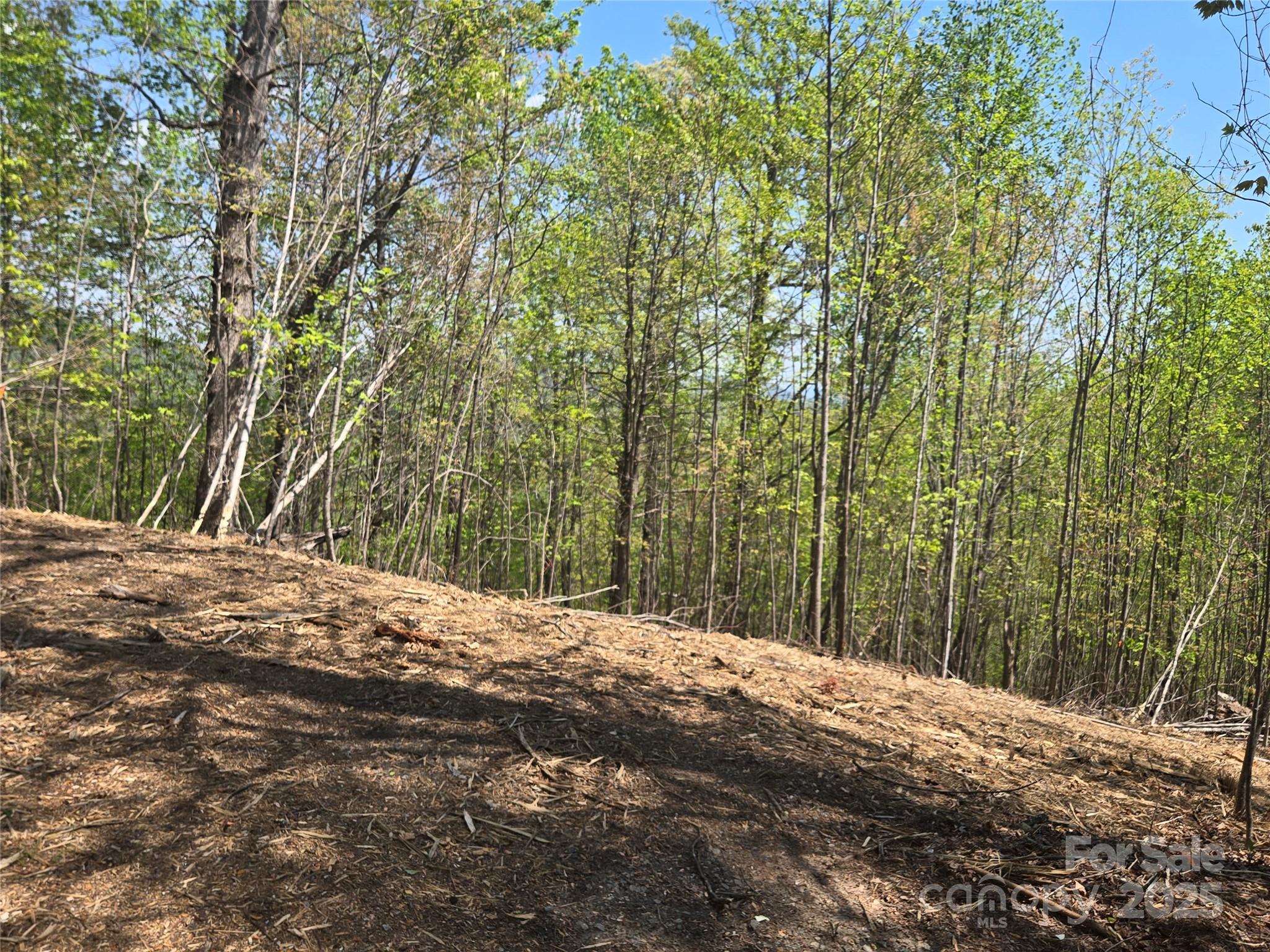 Lot 32 High Rock Ridge Property Photo 9