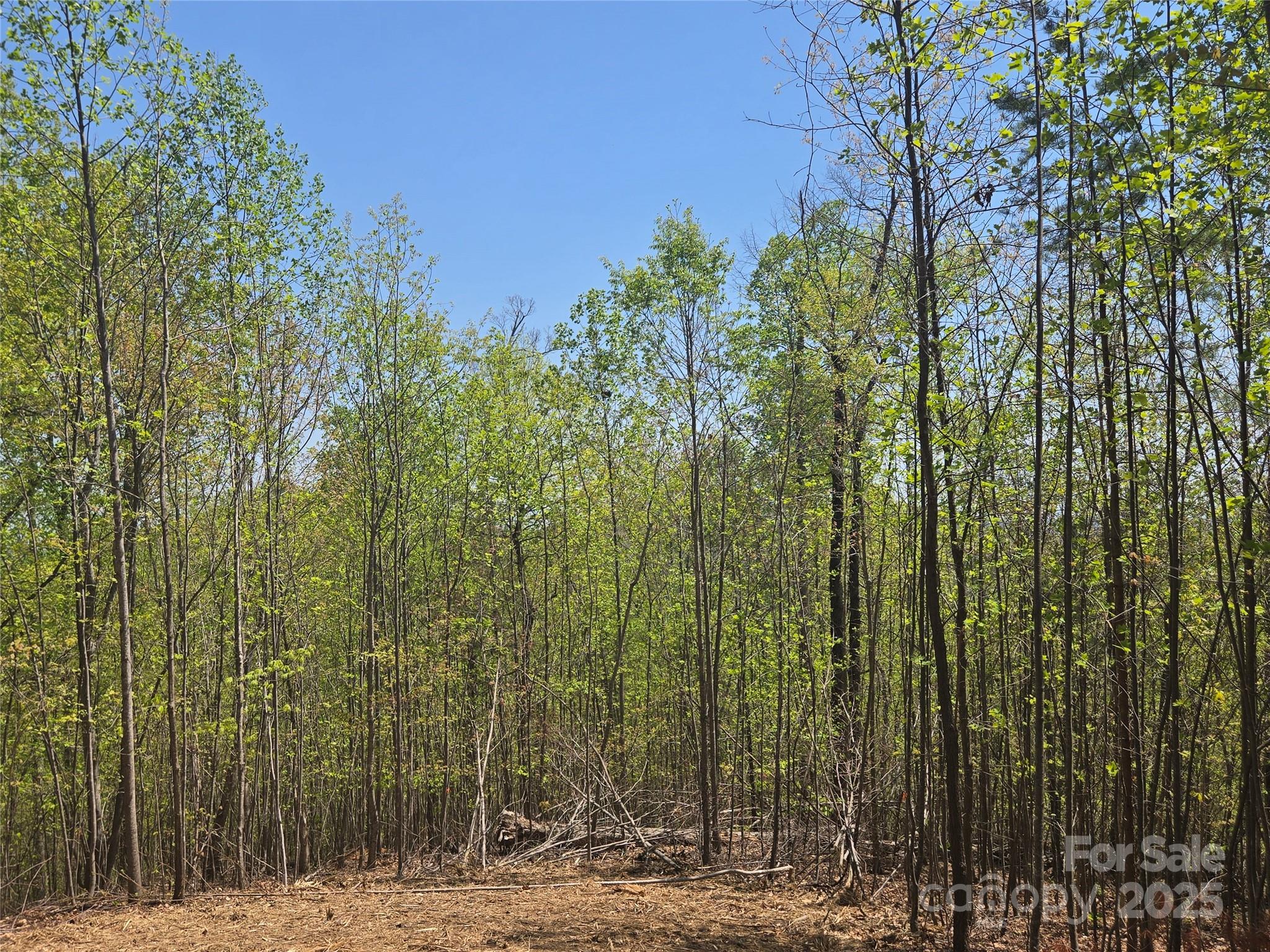 Lot 32 High Rock Ridge Property Photo 12