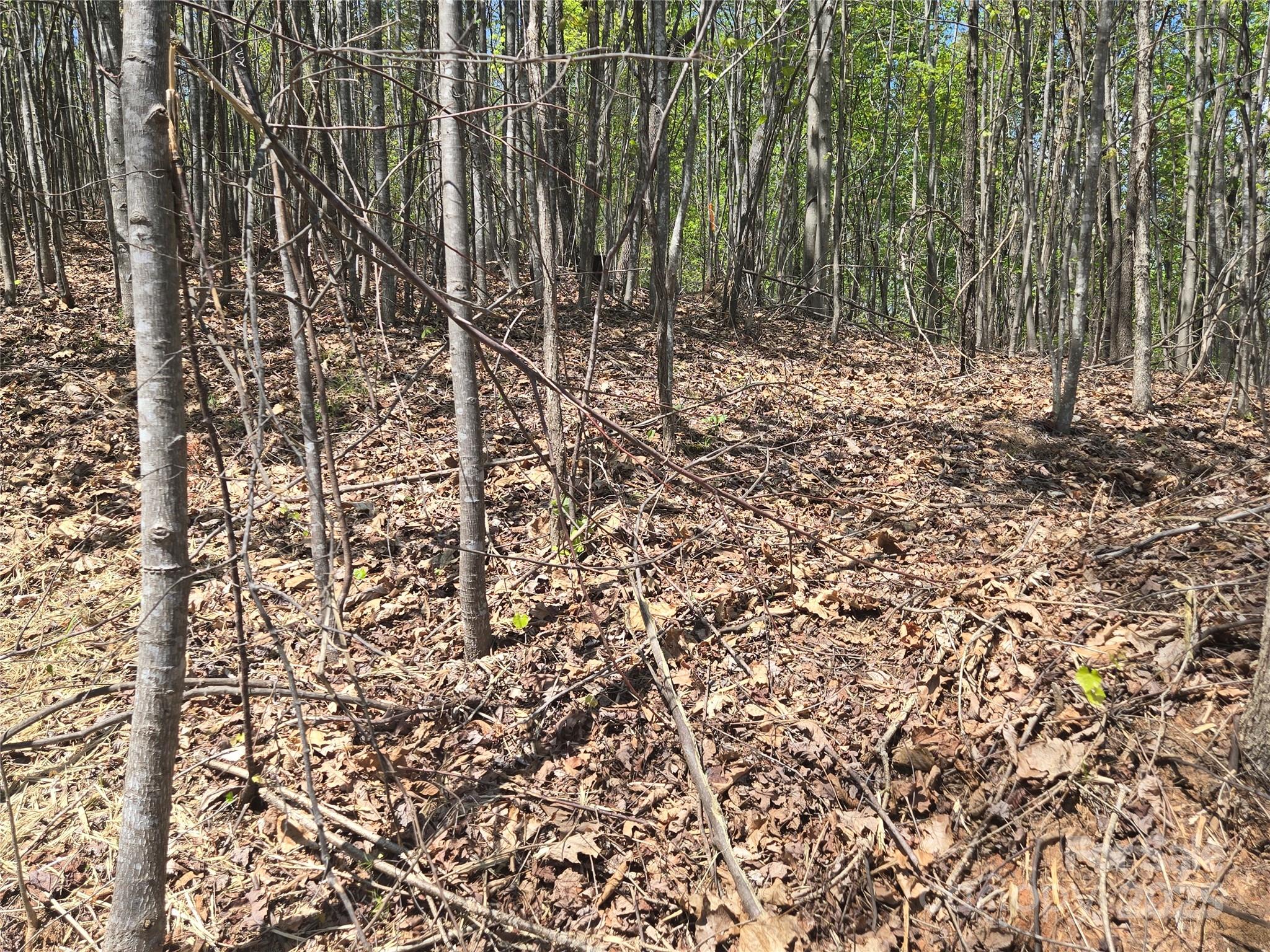 Lot 32 High Rock Ridge Property Photo 13