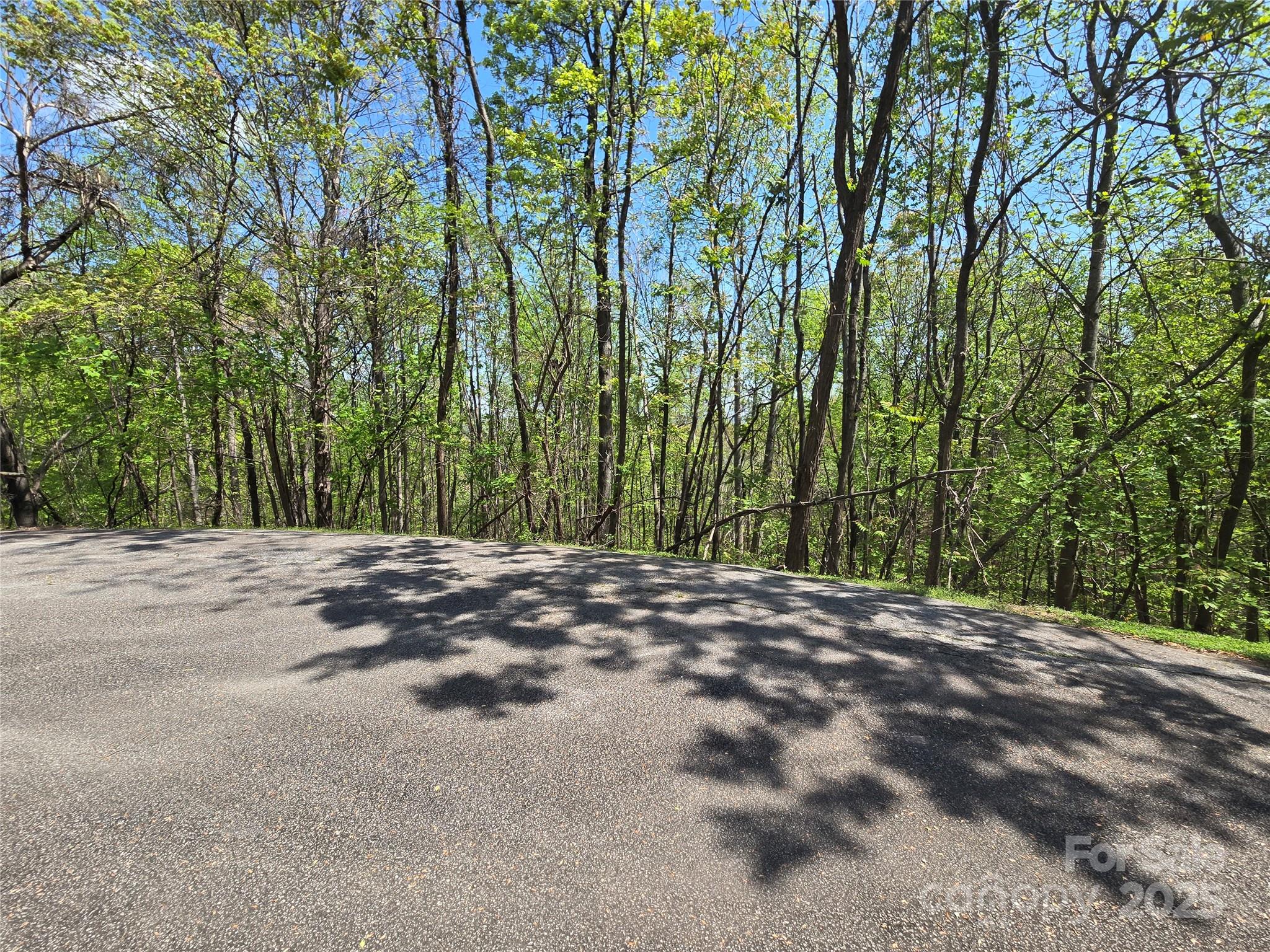 Lot 33 Turkey Fall Lane Property Photo 1