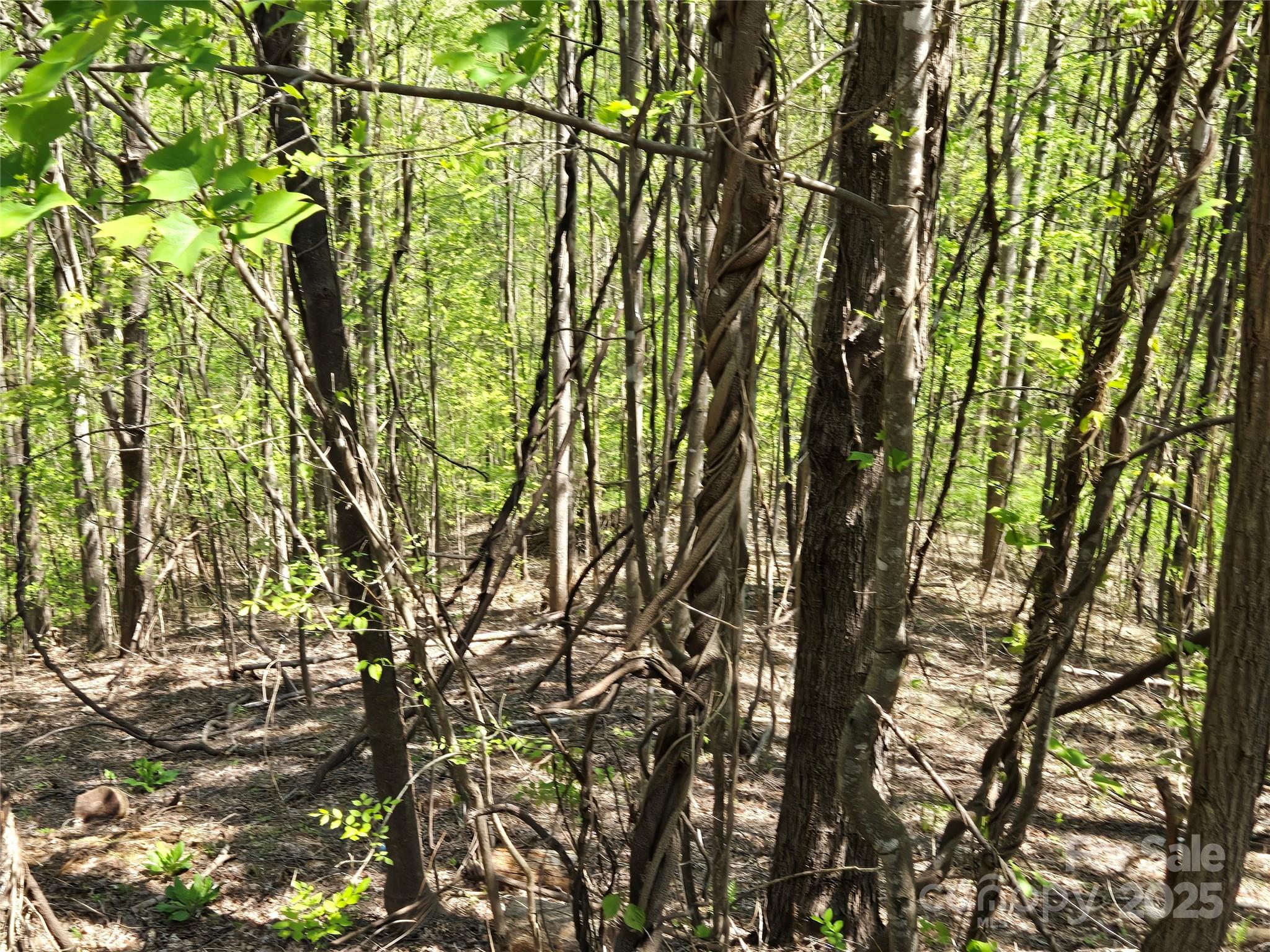Lot 33 Turkey Fall Lane Property Photo 2