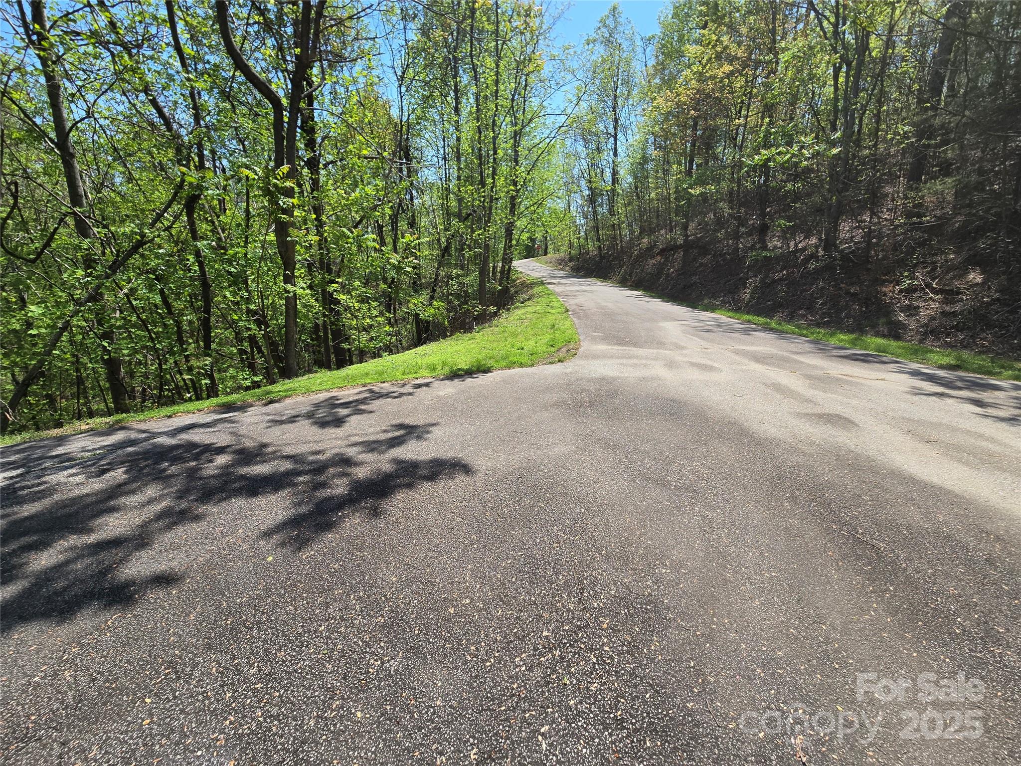 Lot 33 Turkey Fall Lane Property Photo 3