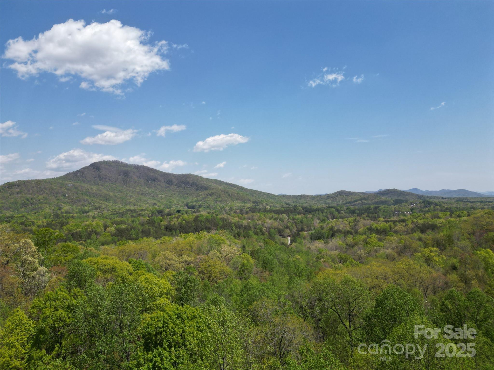 Lot 33 Turkey Fall Lane Property Photo 4