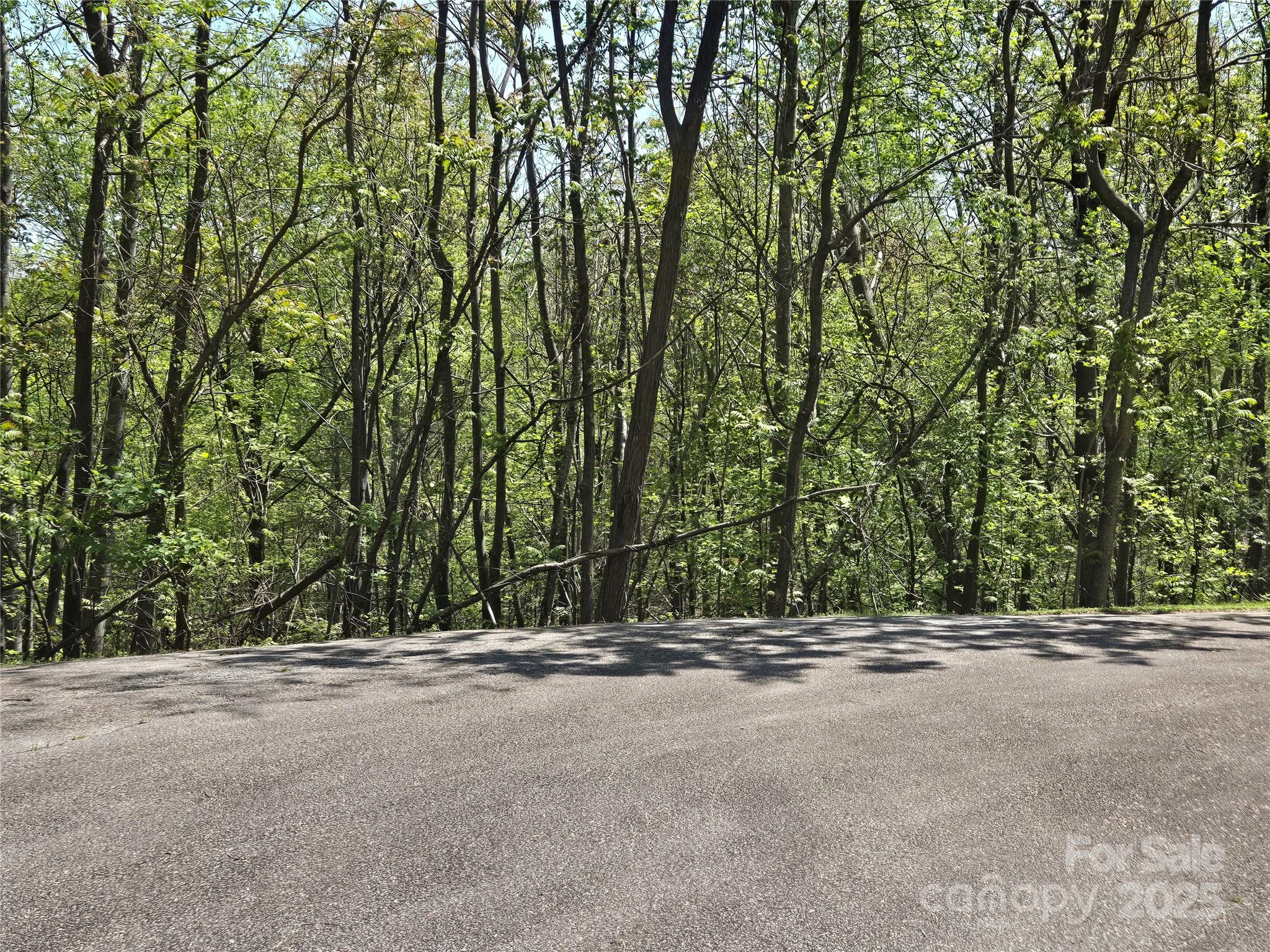 Lot 33 Turkey Fall Lane Property Photo 10