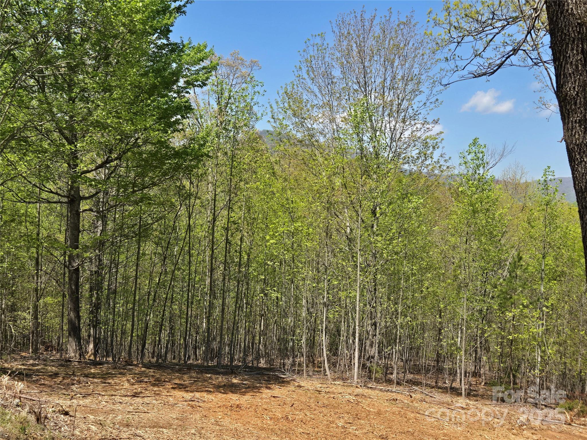 Lot 34 High Rock Ridge Property Photo