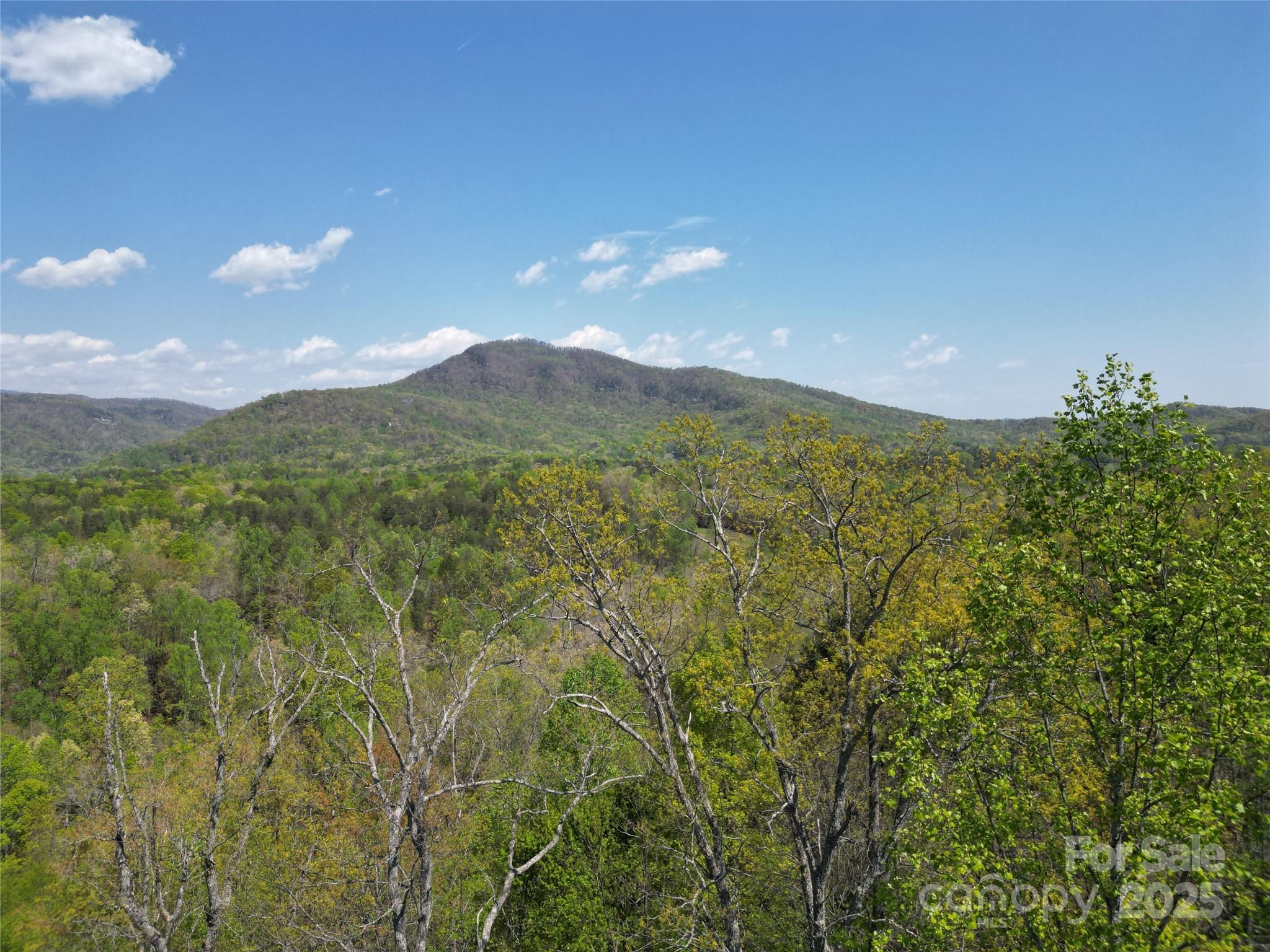 Lot 34 High Rock Ridge Property Photo 1