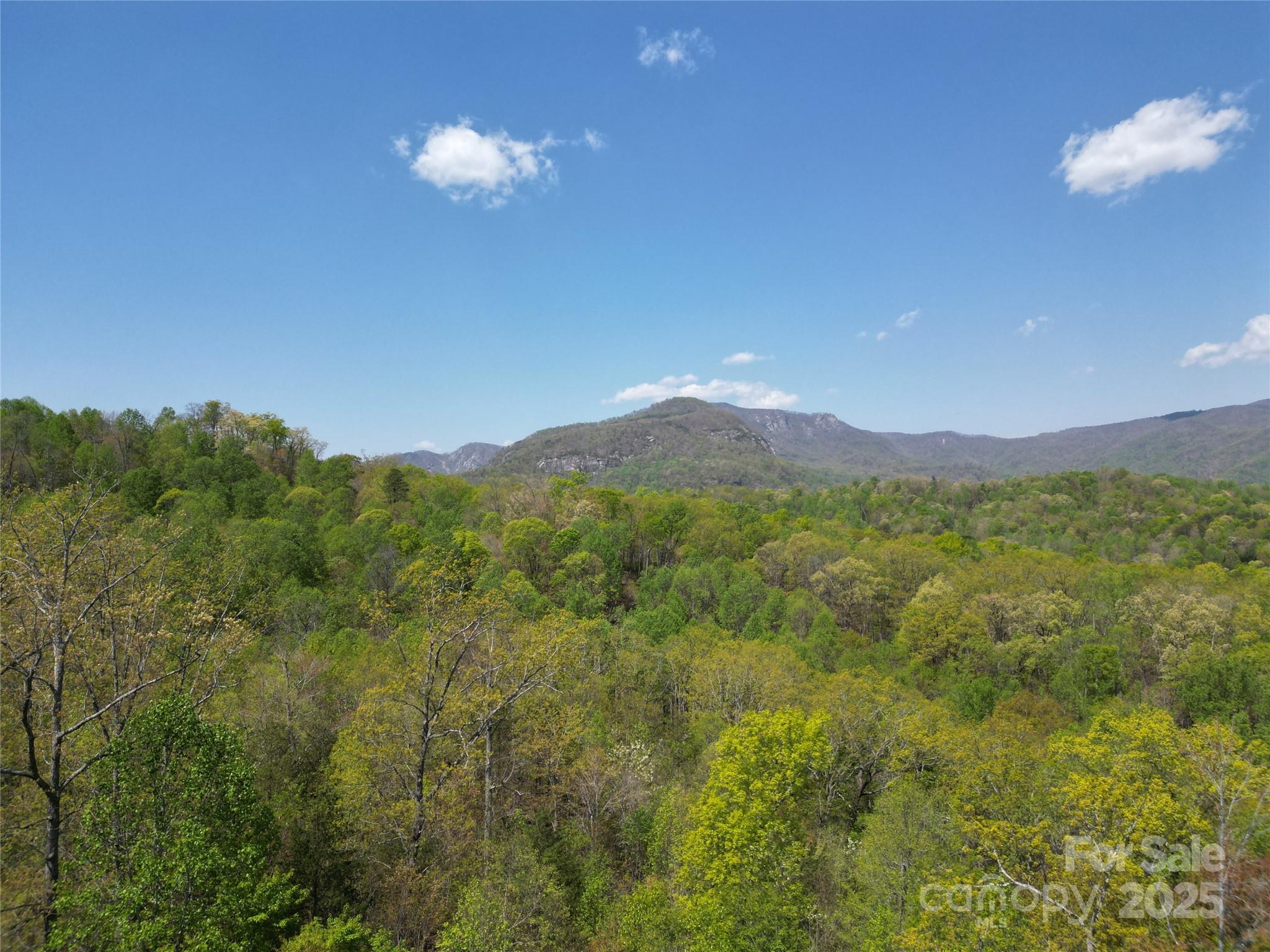 Lot 34 High Rock Ridge Property Photo 2
