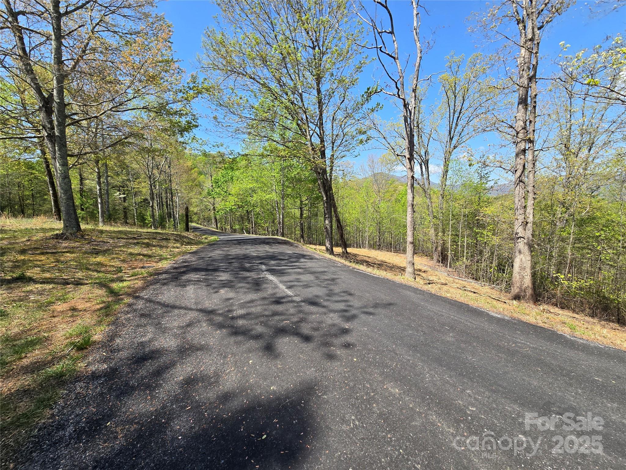 Lot 34 High Rock Ridge Property Photo 3