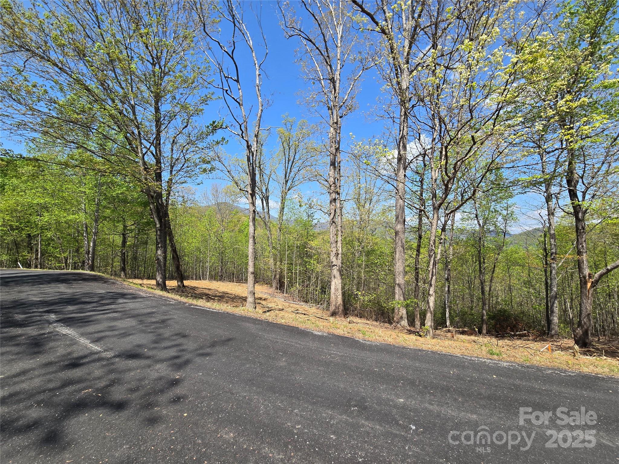 Lot 34 High Rock Ridge Property Photo 5