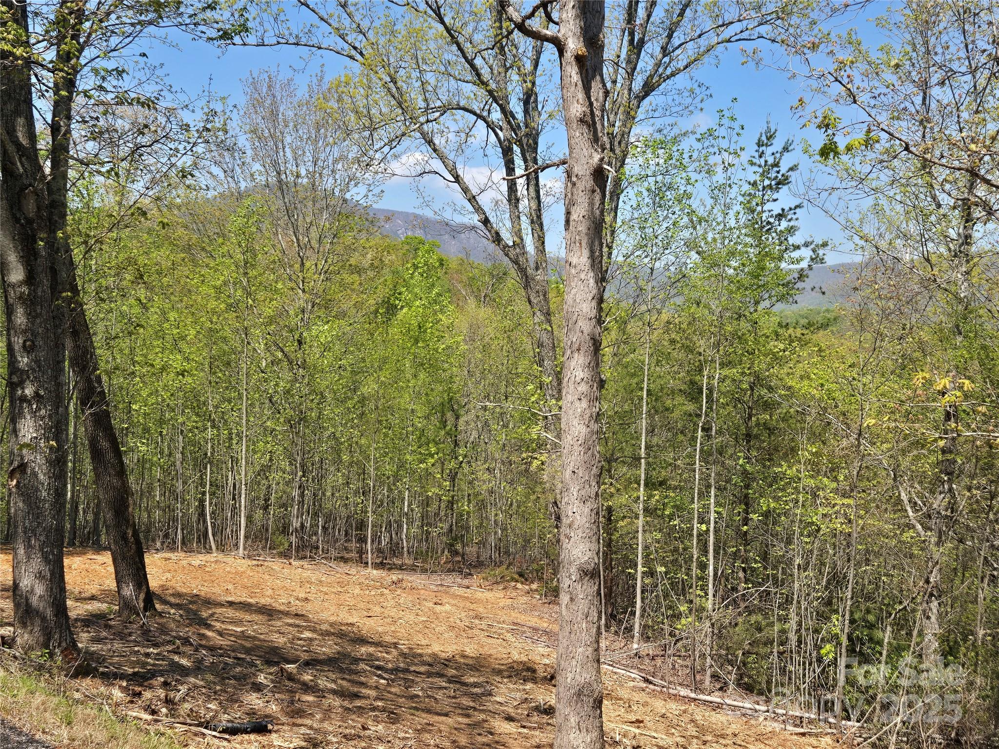 Lot 34 High Rock Ridge Property Photo 6
