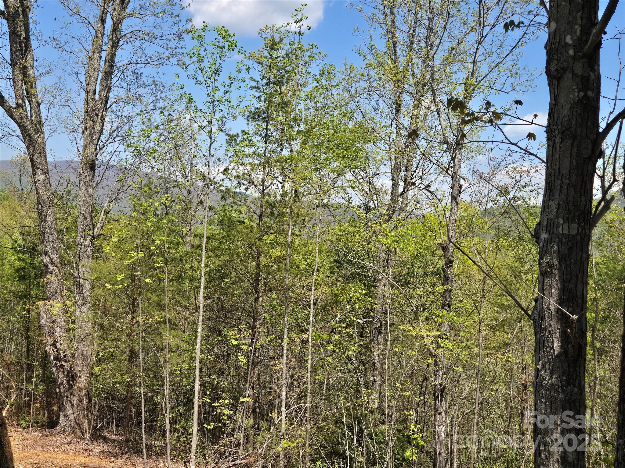 Lot 34 High Rock Ridge Property Photo 8