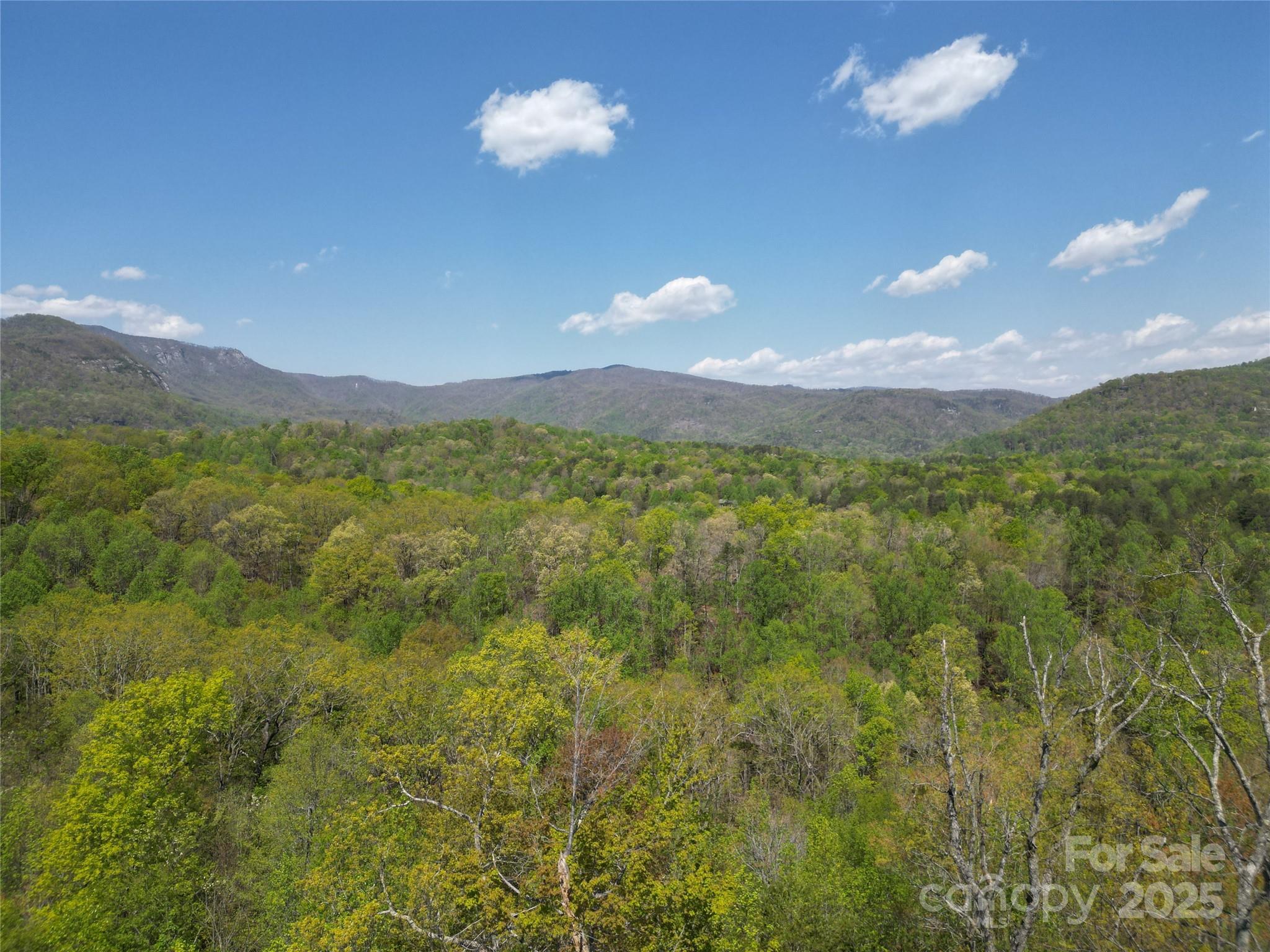 Lot 34 High Rock Ridge Property Photo 9