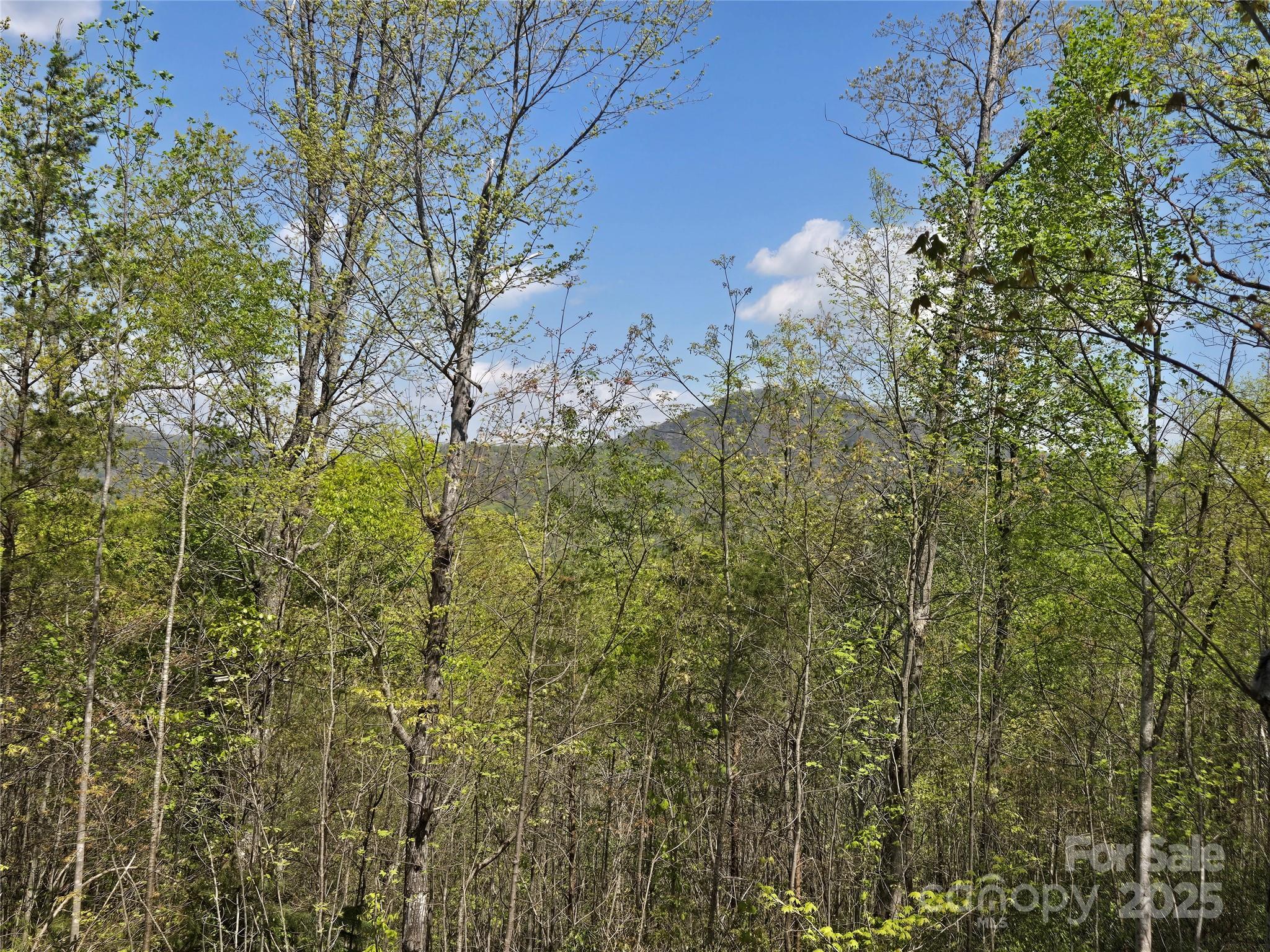 Lot 34 High Rock Ridge Property Photo 11