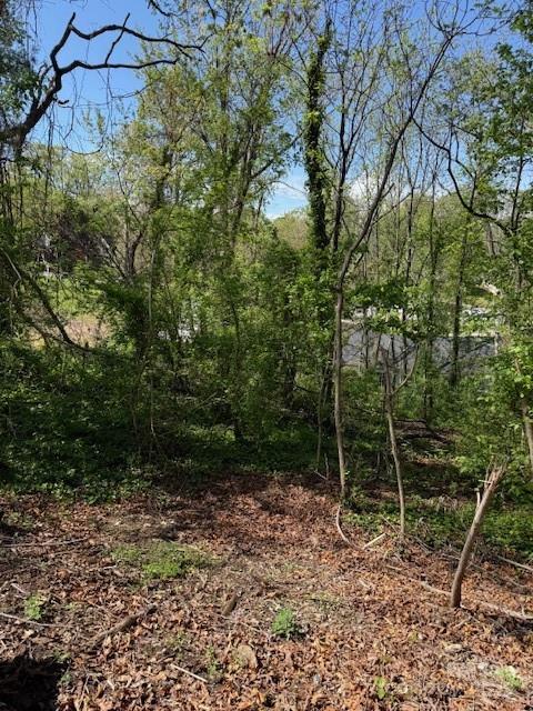 99999 Reese Street Property Photo 2