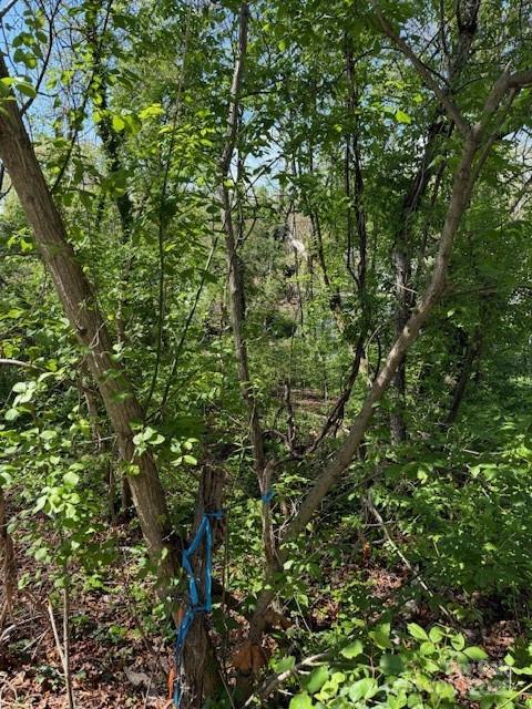 99999 Reese Street Property Photo 3