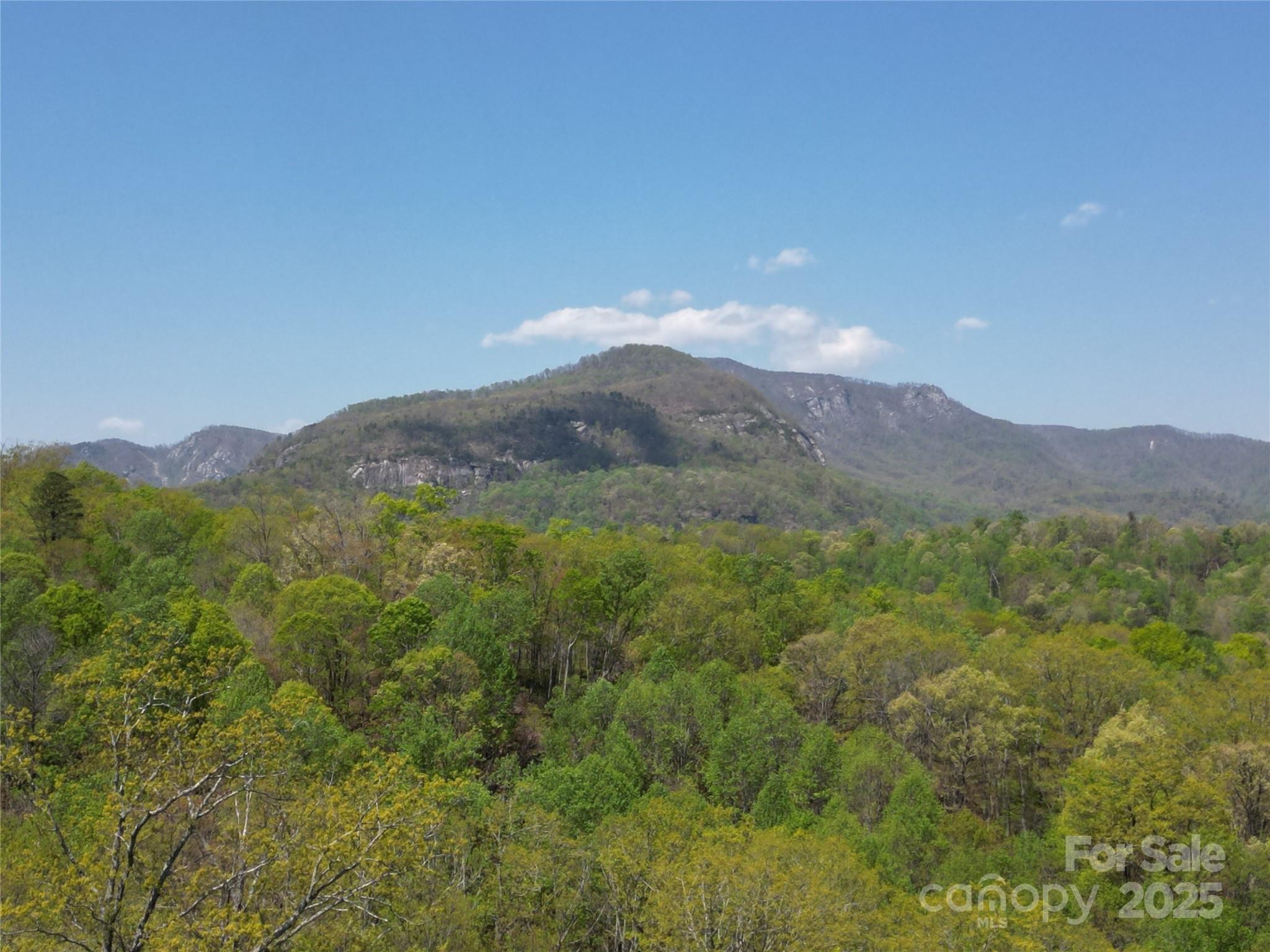 Lot 35 High Rock Ridge Property Photo 1