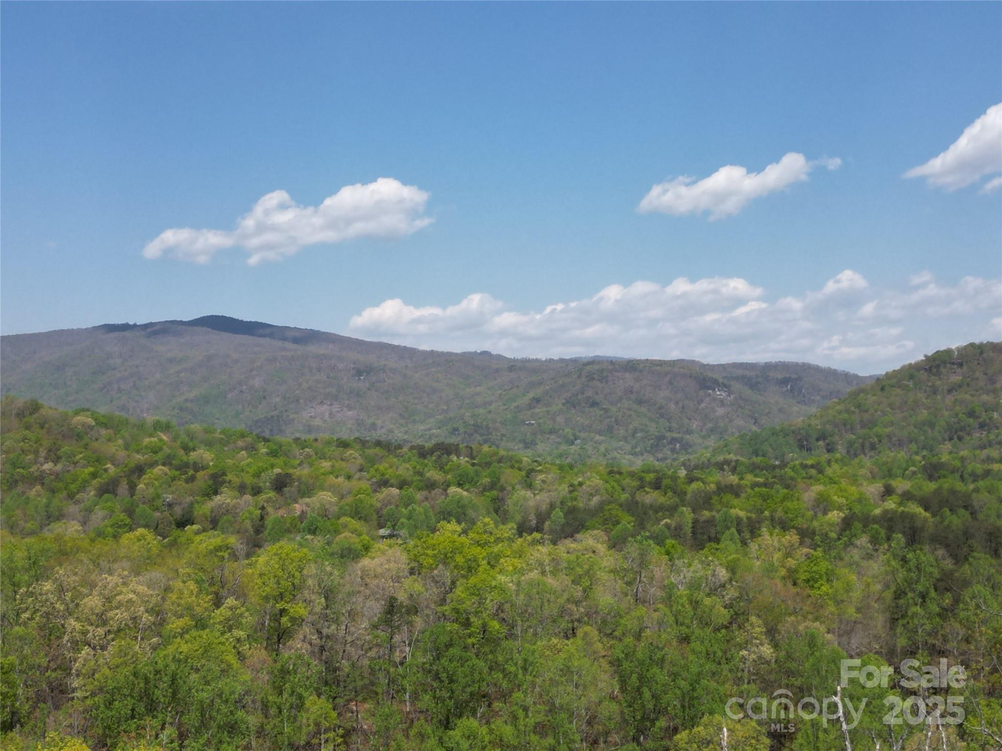 Lot 35 High Rock Ridge Property Photo 2