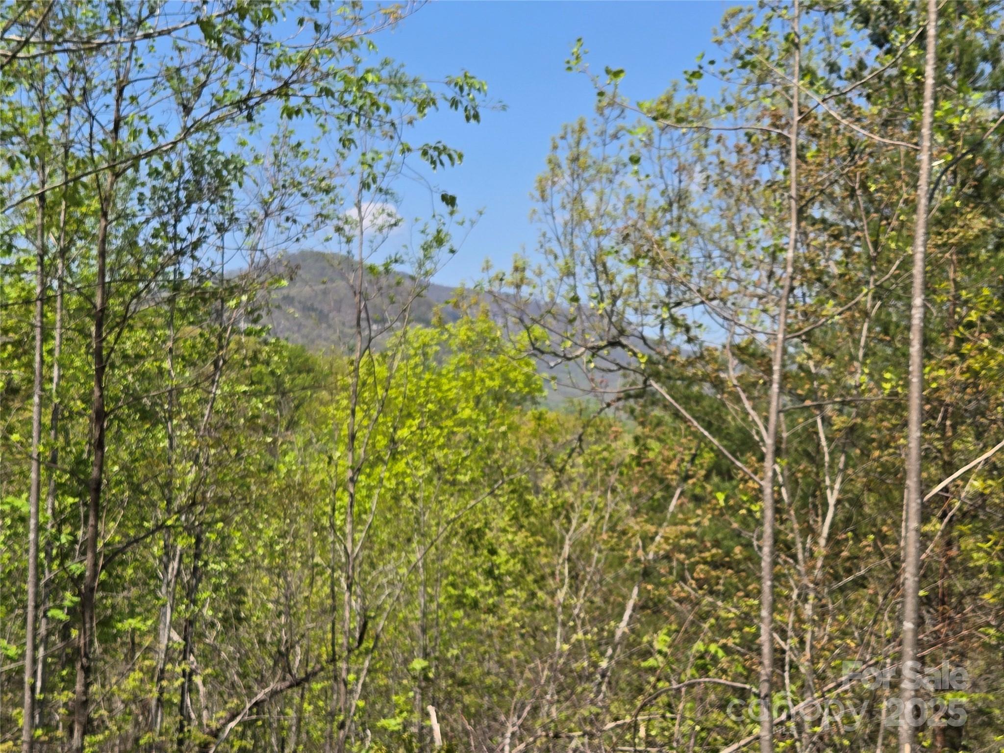 Lot 35 High Rock Ridge Property Photo 3