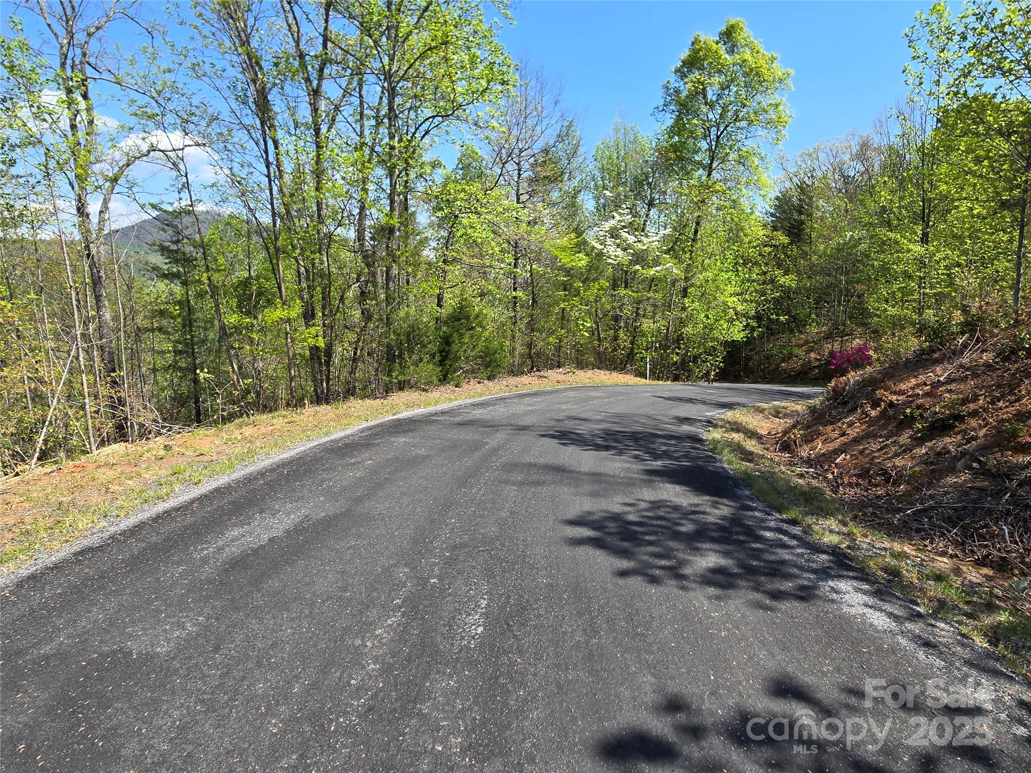 Lot 35 High Rock Ridge Property Photo 4