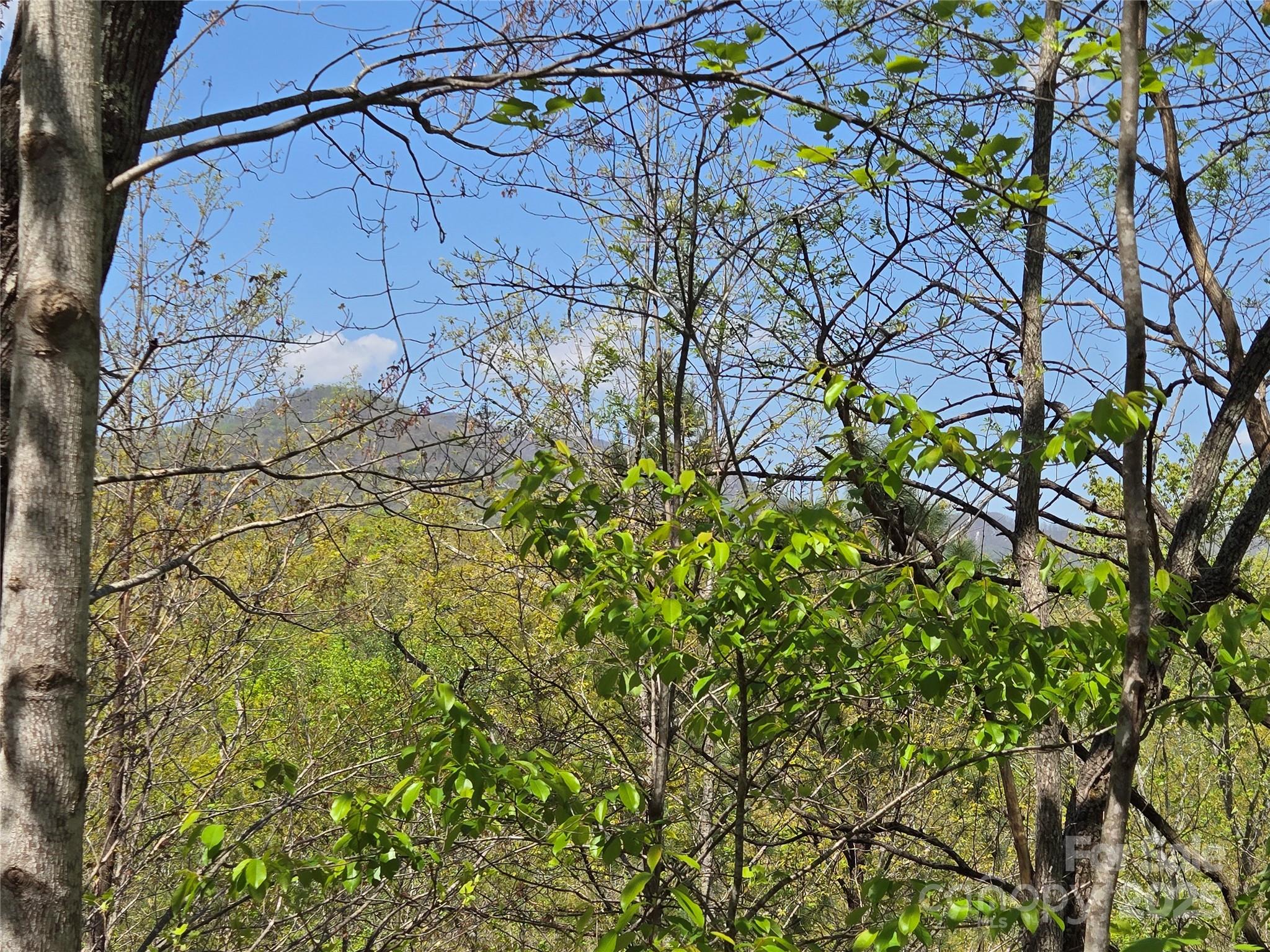 Lot 35 High Rock Ridge Property Photo 5