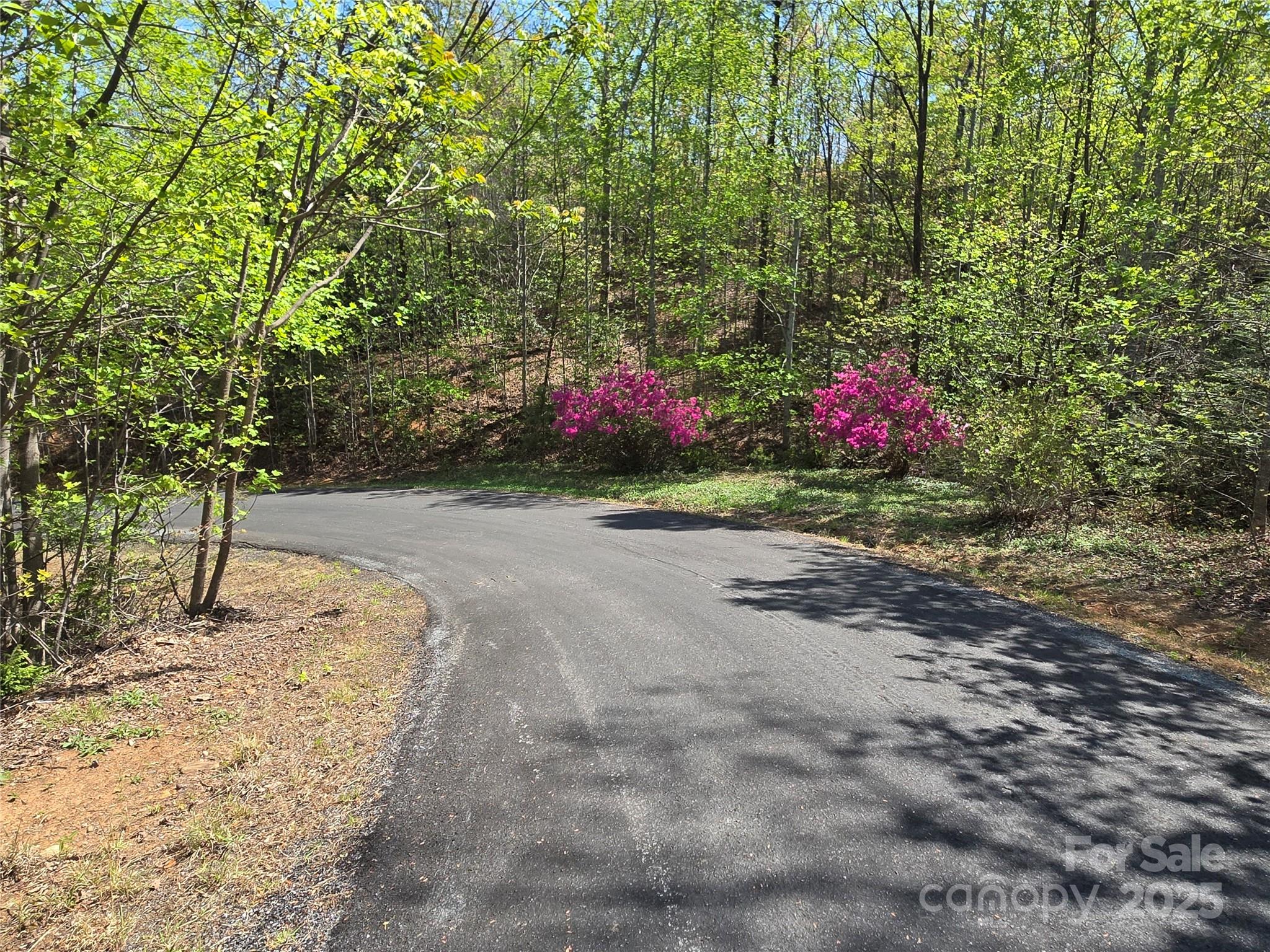 Lot 35 High Rock Ridge Property Photo 6
