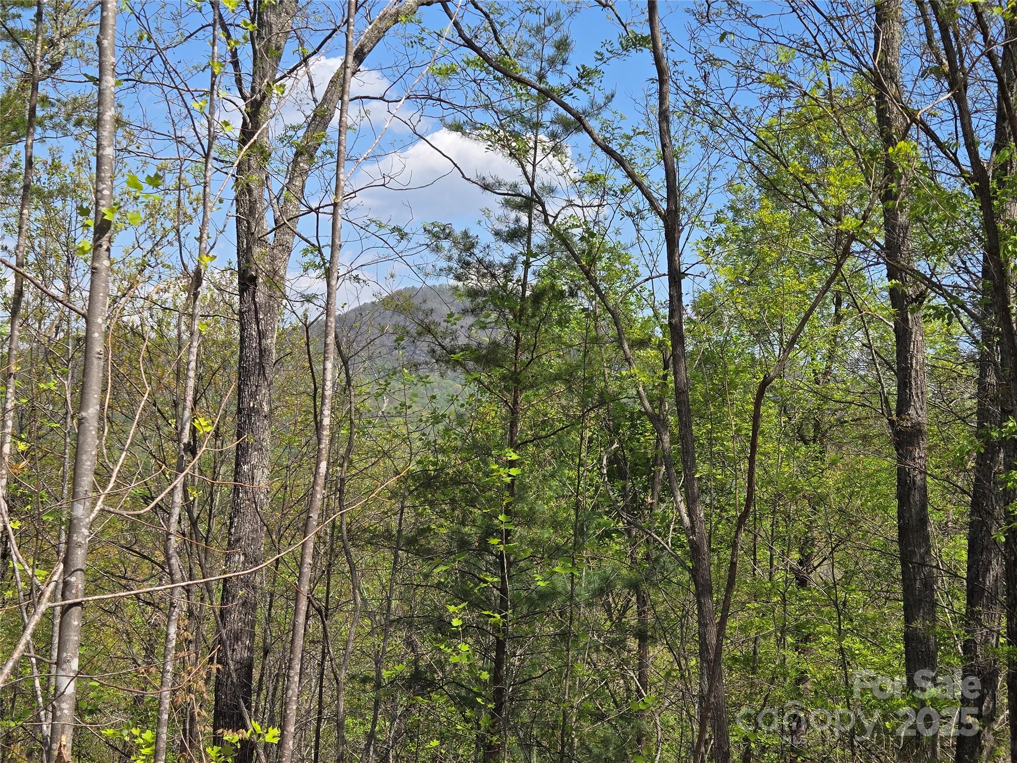 Lot 35 High Rock Ridge Property Photo 7