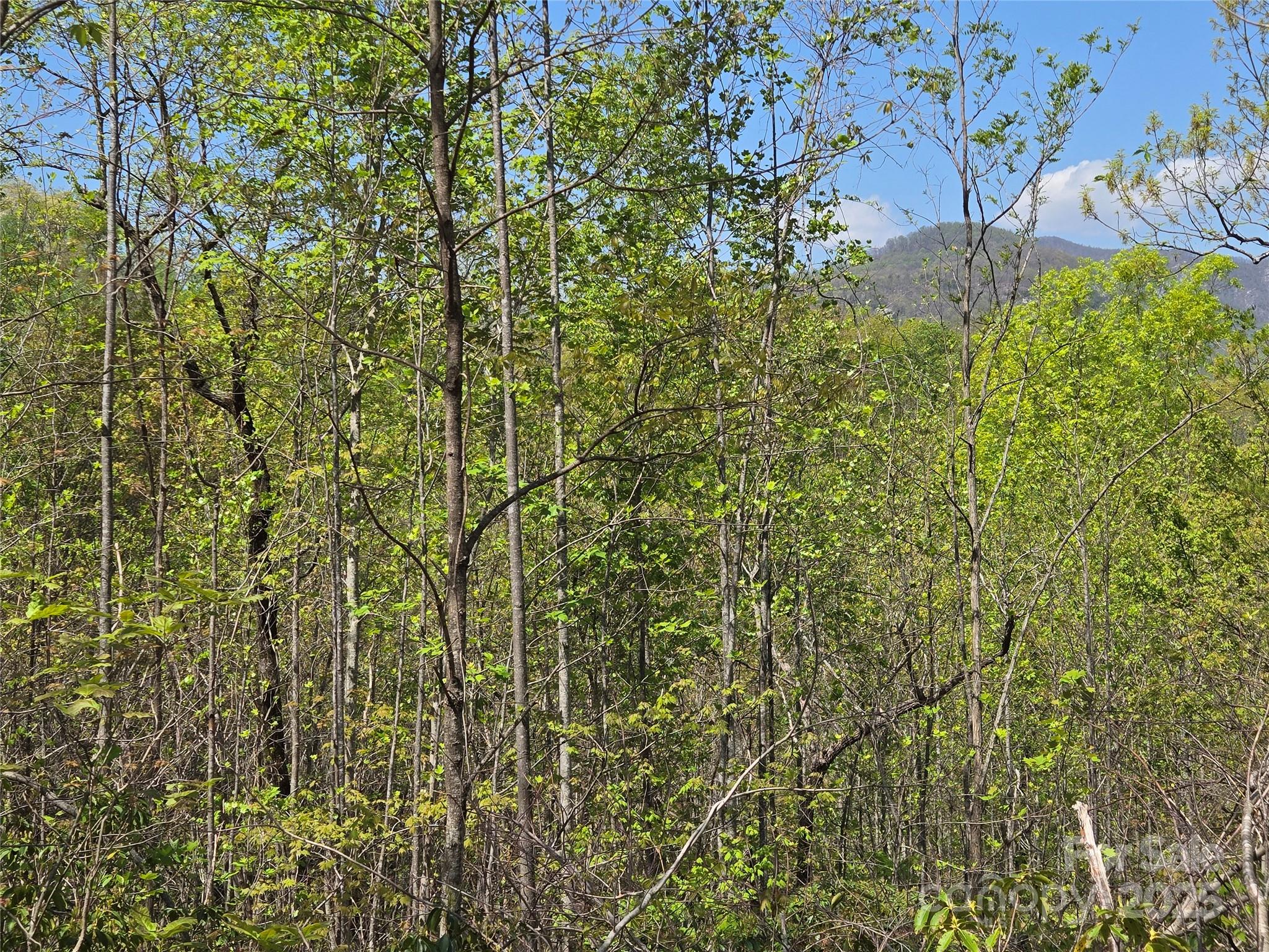 Lot 35 High Rock Ridge Property Photo 8