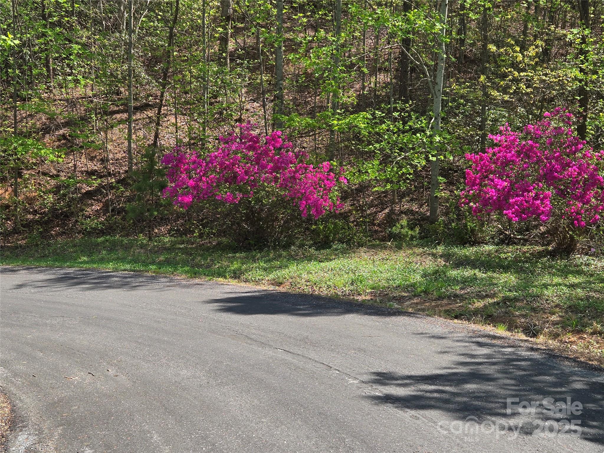 Lot 35 High Rock Ridge Property Photo 9