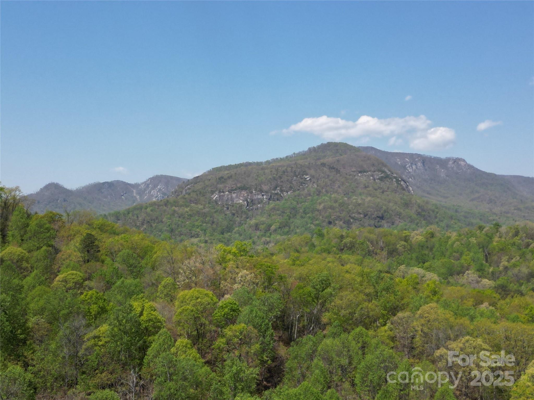 Lot 35 High Rock Ridge Property Photo 10