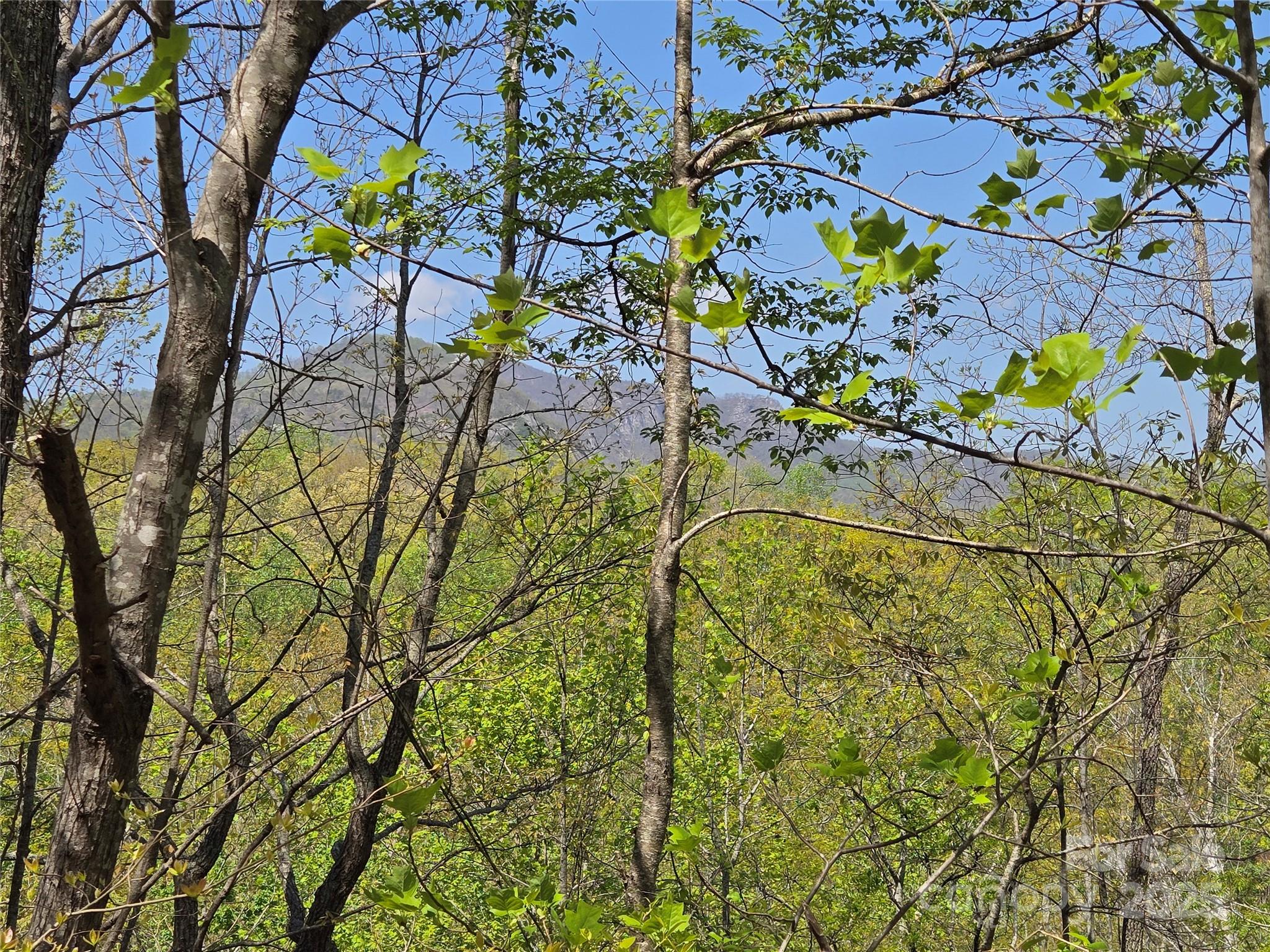 Lot 35 High Rock Ridge Property Photo 11