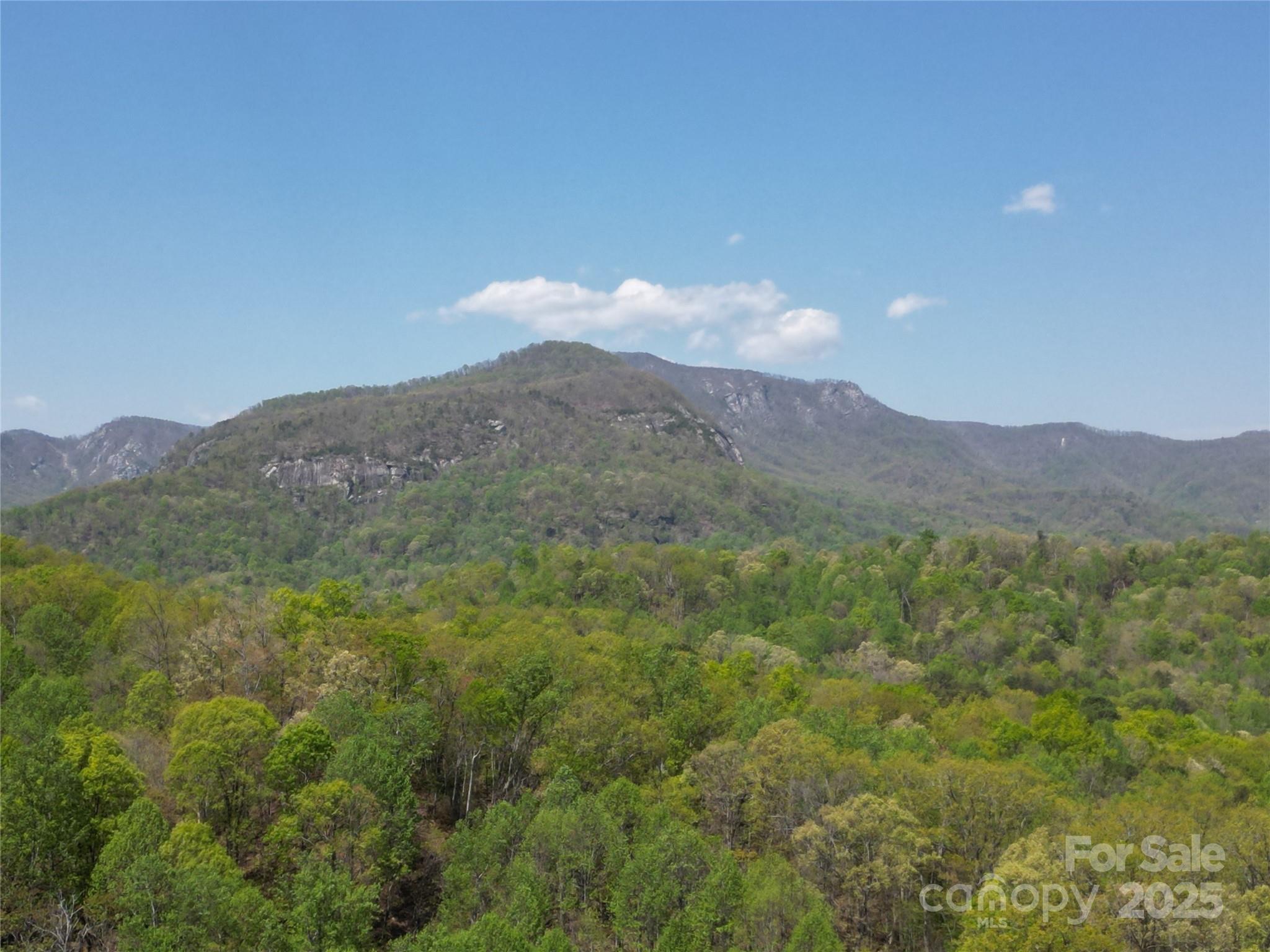 Lot 35 High Rock Ridge Property Photo 12