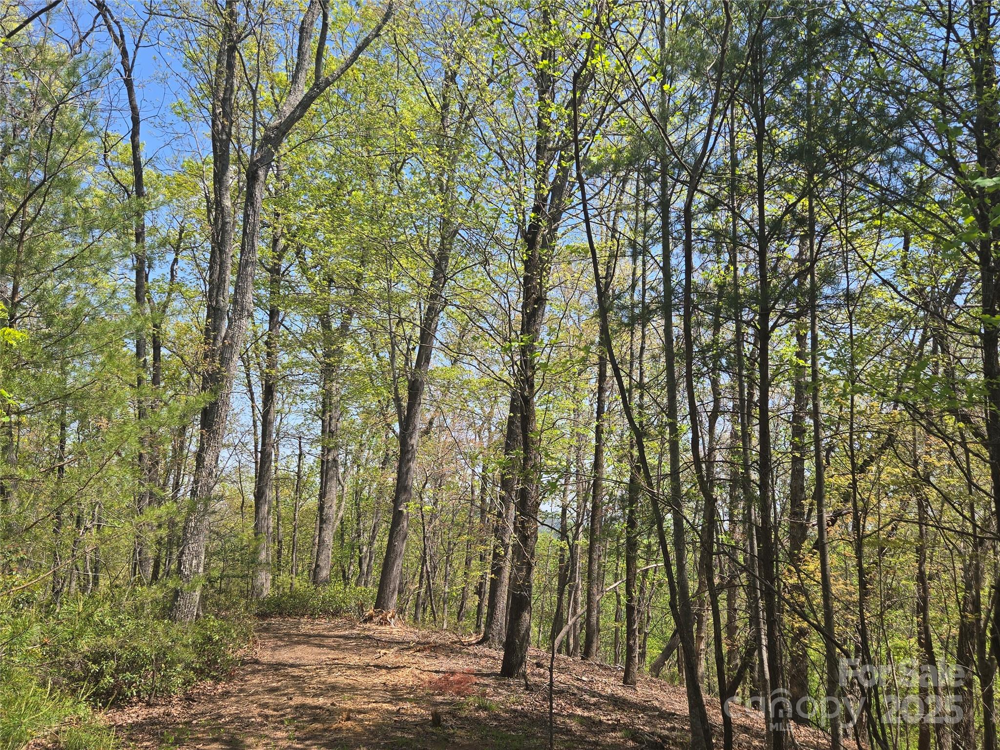 Lot 36 Turkey Fall Lane Property Photo