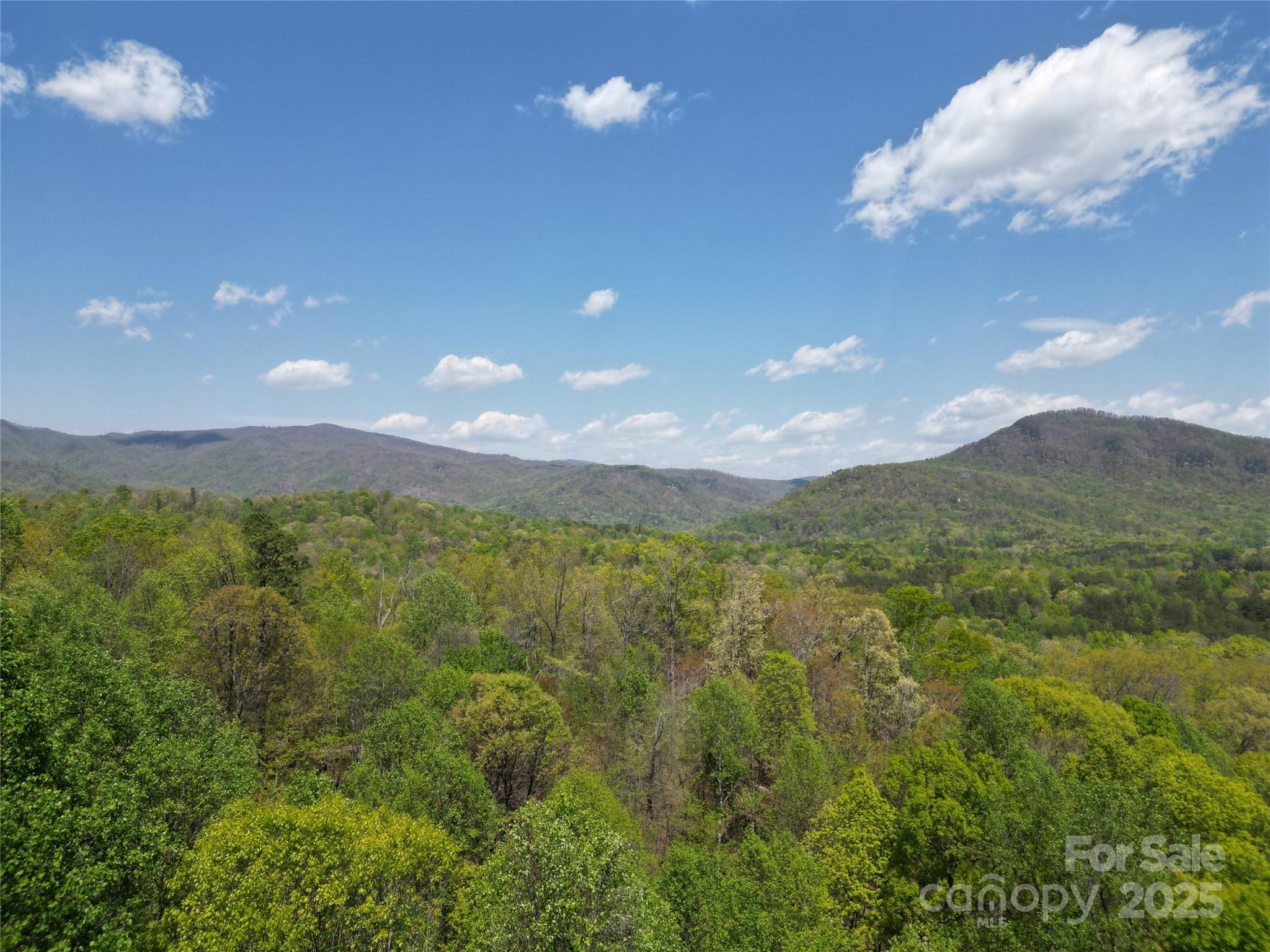 Lot 36 Turkey Fall Lane Property Photo 1