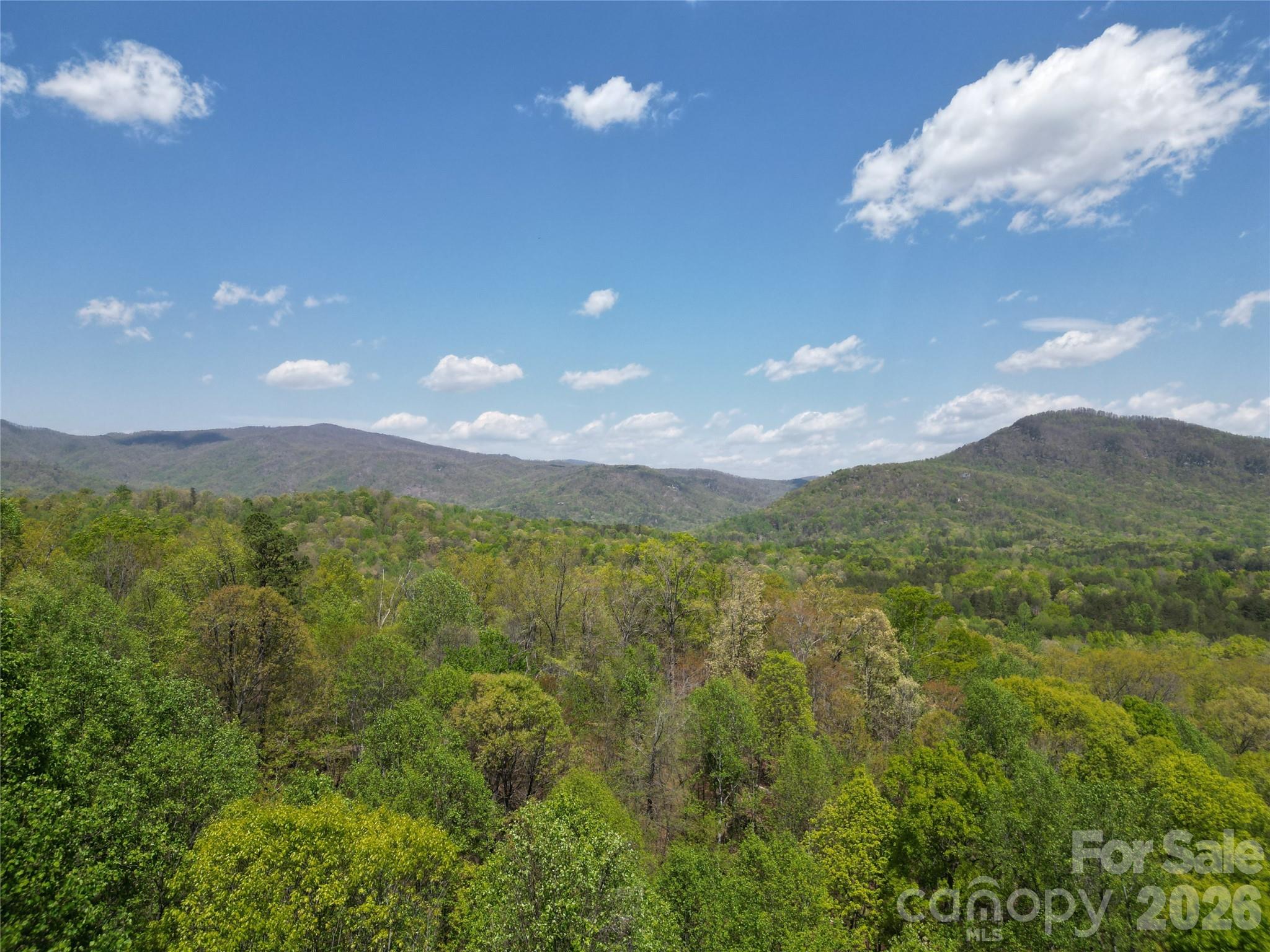 Lot 36 Turkey Fall Lane Property Photo 1