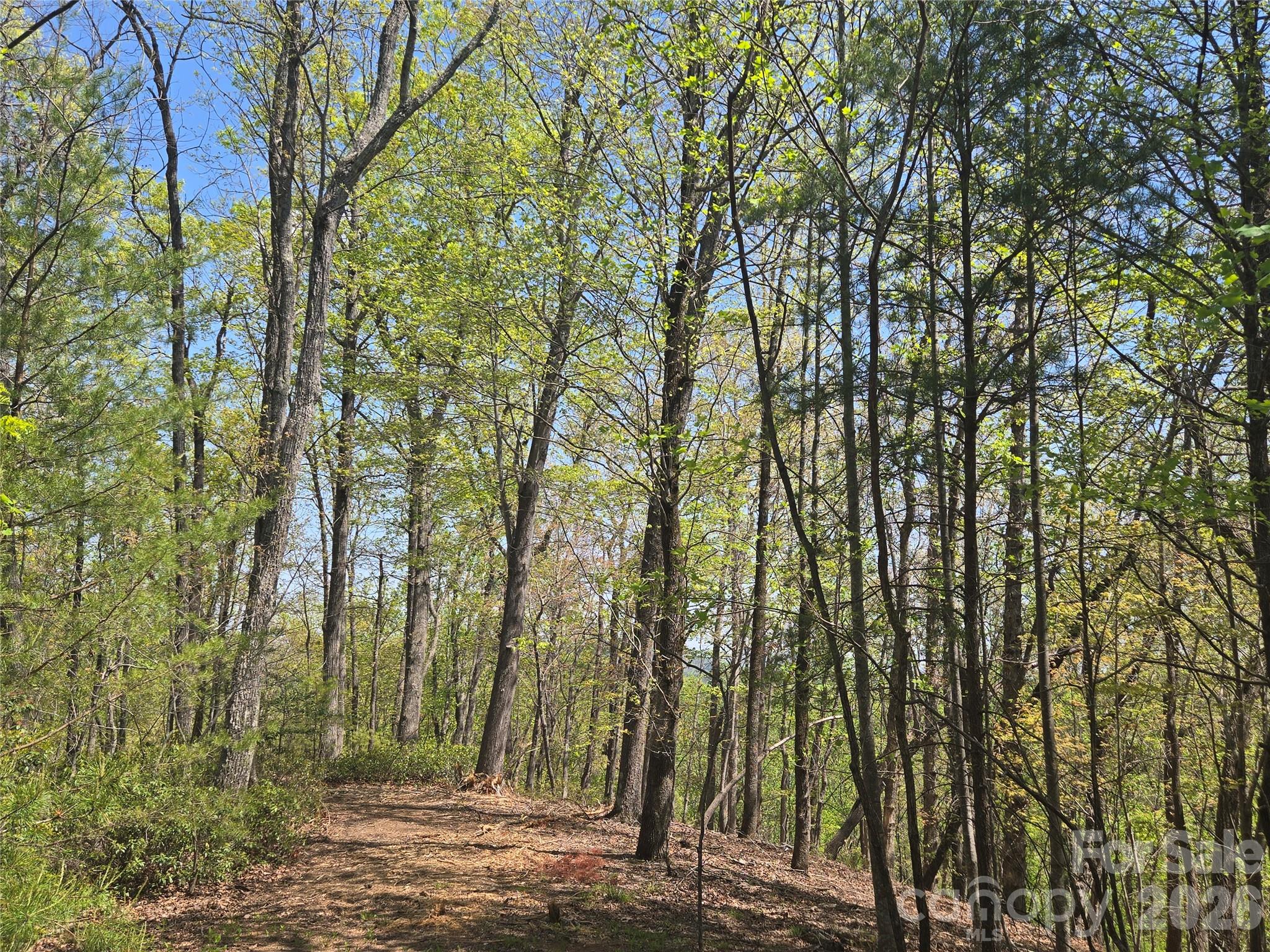 Lot 36 Turkey Fall Lane Property Photo 3