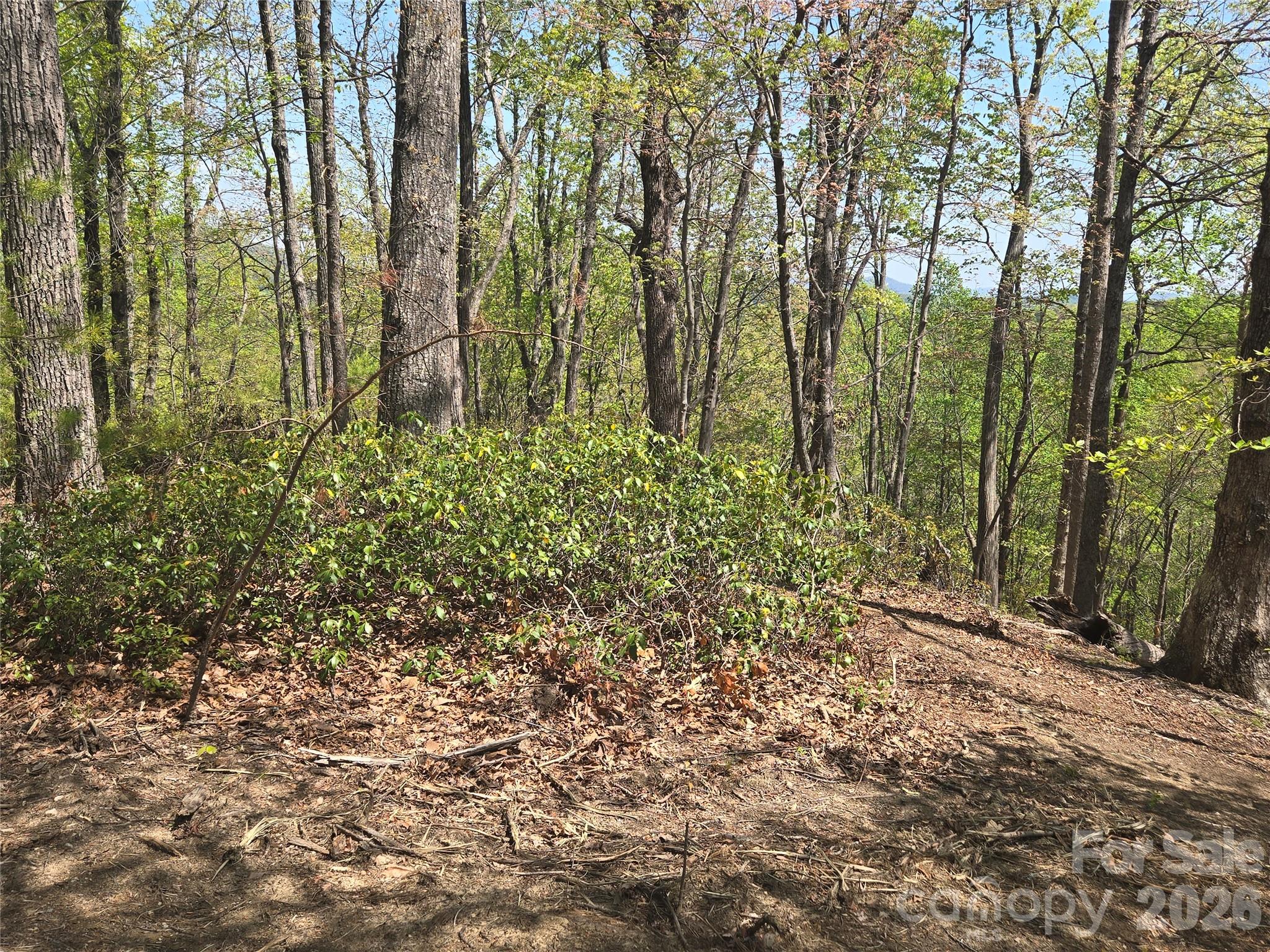 Lot 36 Turkey Fall Lane Property Photo 6