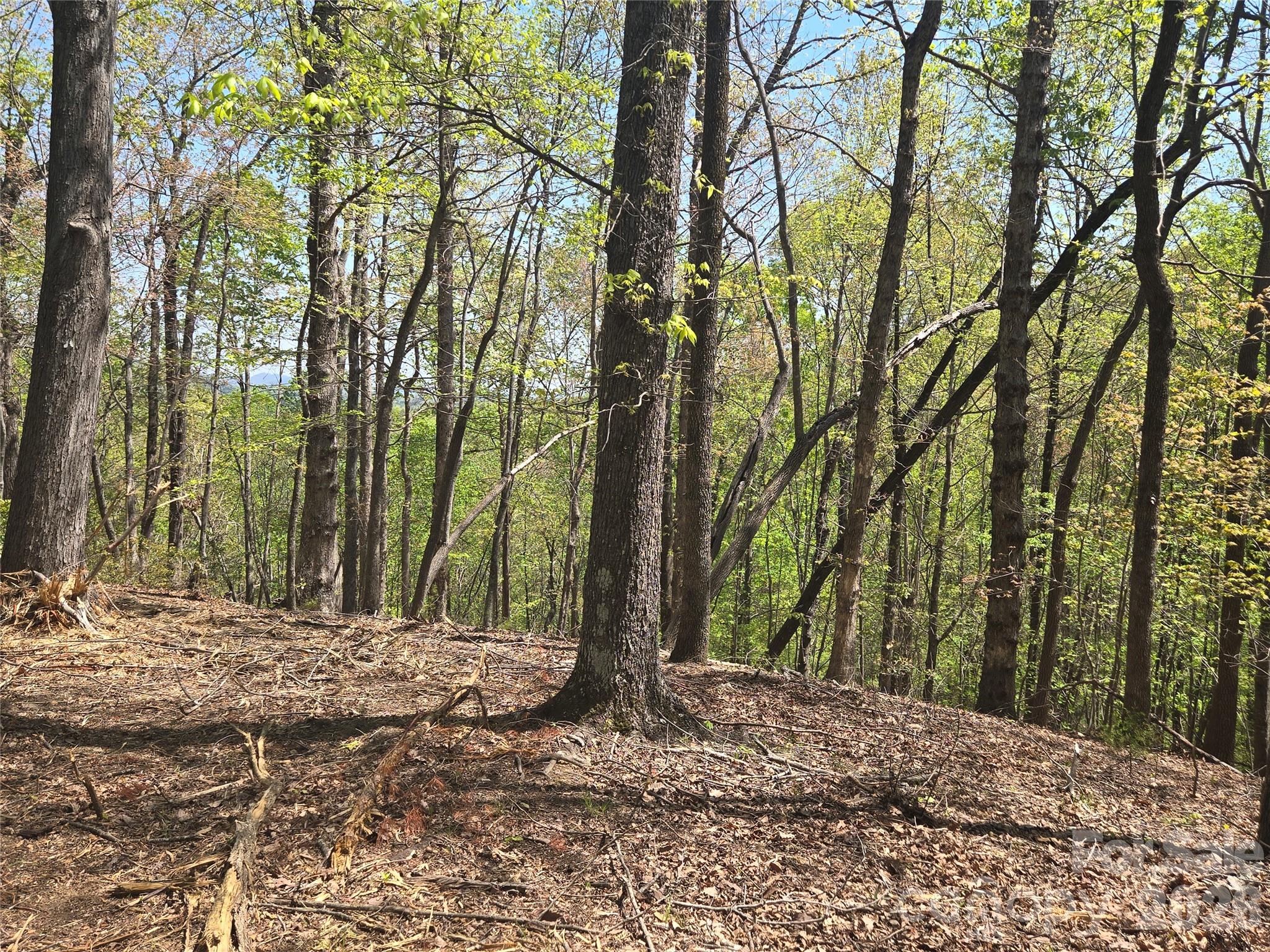 Lot 36 Turkey Fall Lane Property Photo 7
