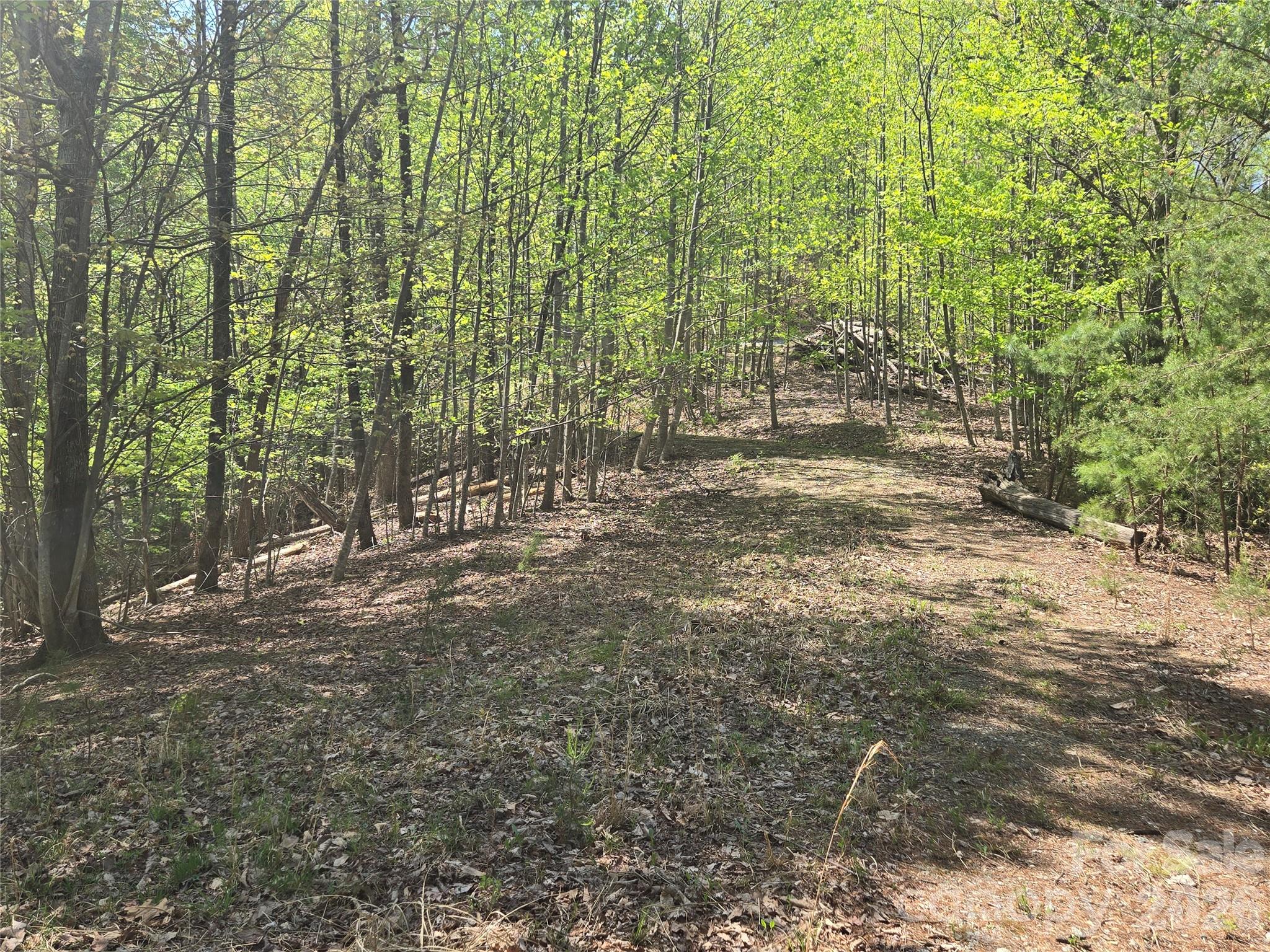 Lot 36 Turkey Fall Lane Property Photo 13