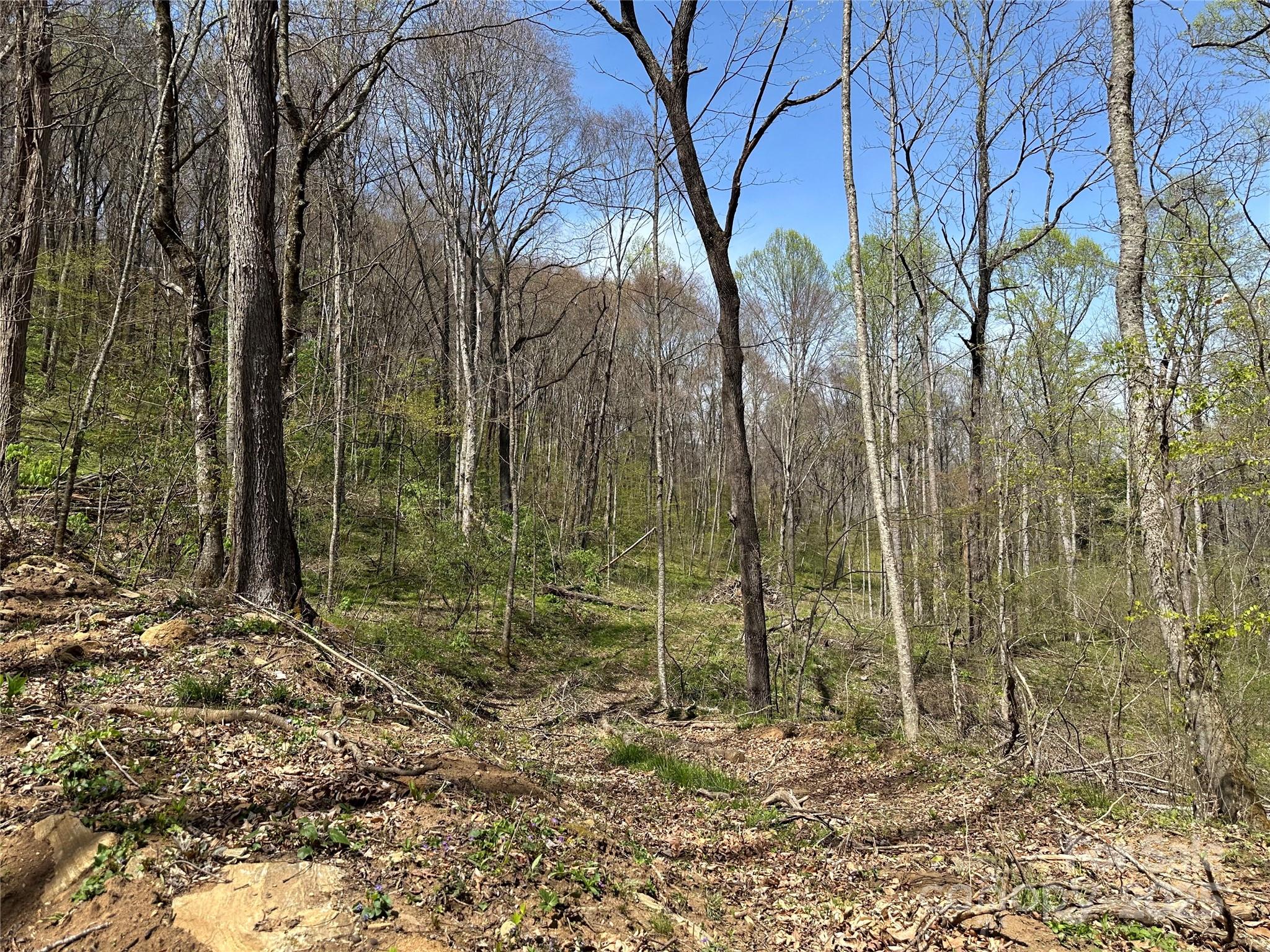 Tbd Sequoyah Drive Property Photo 2