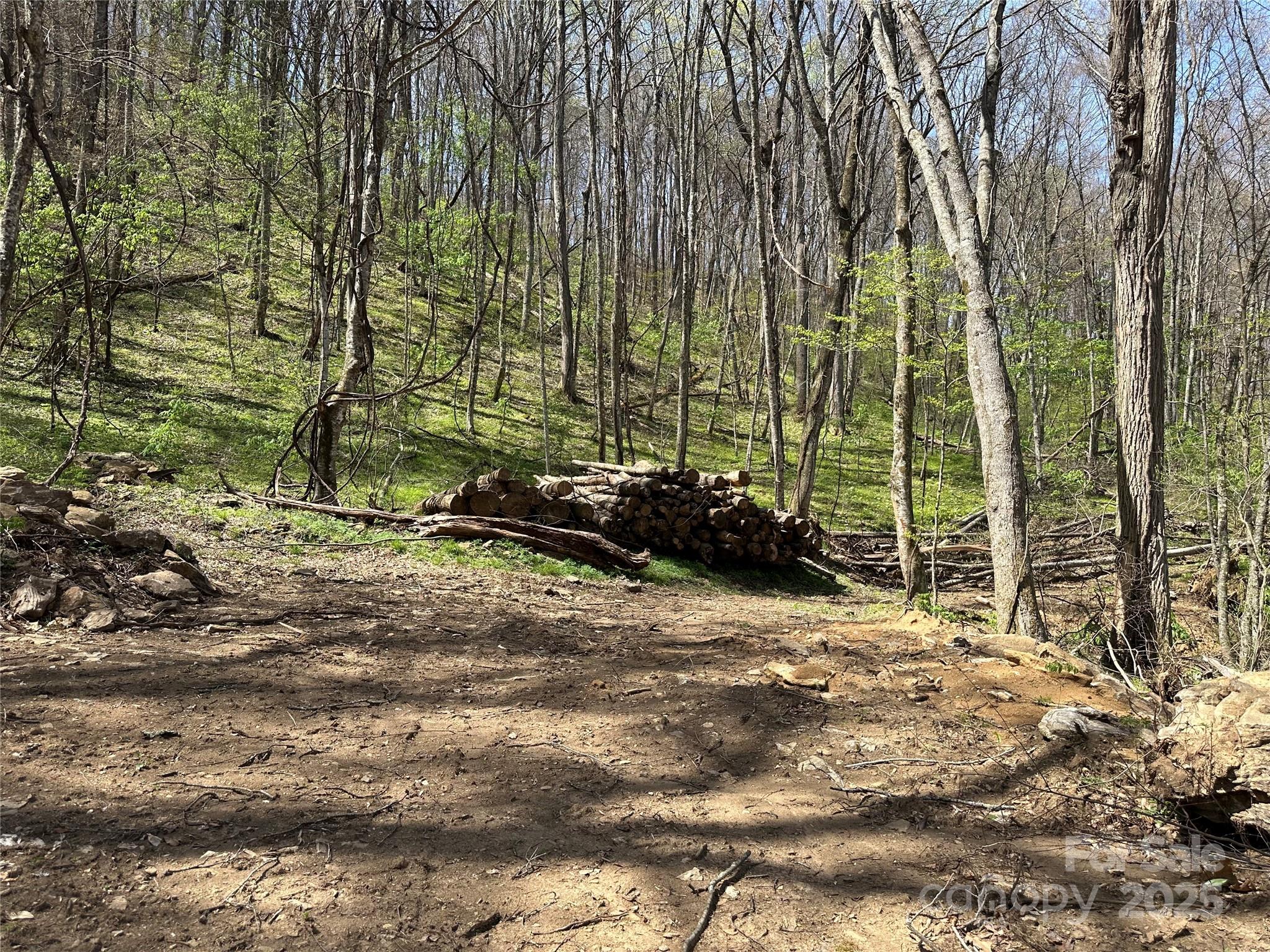 Tbd Sequoyah Drive Property Photo 19