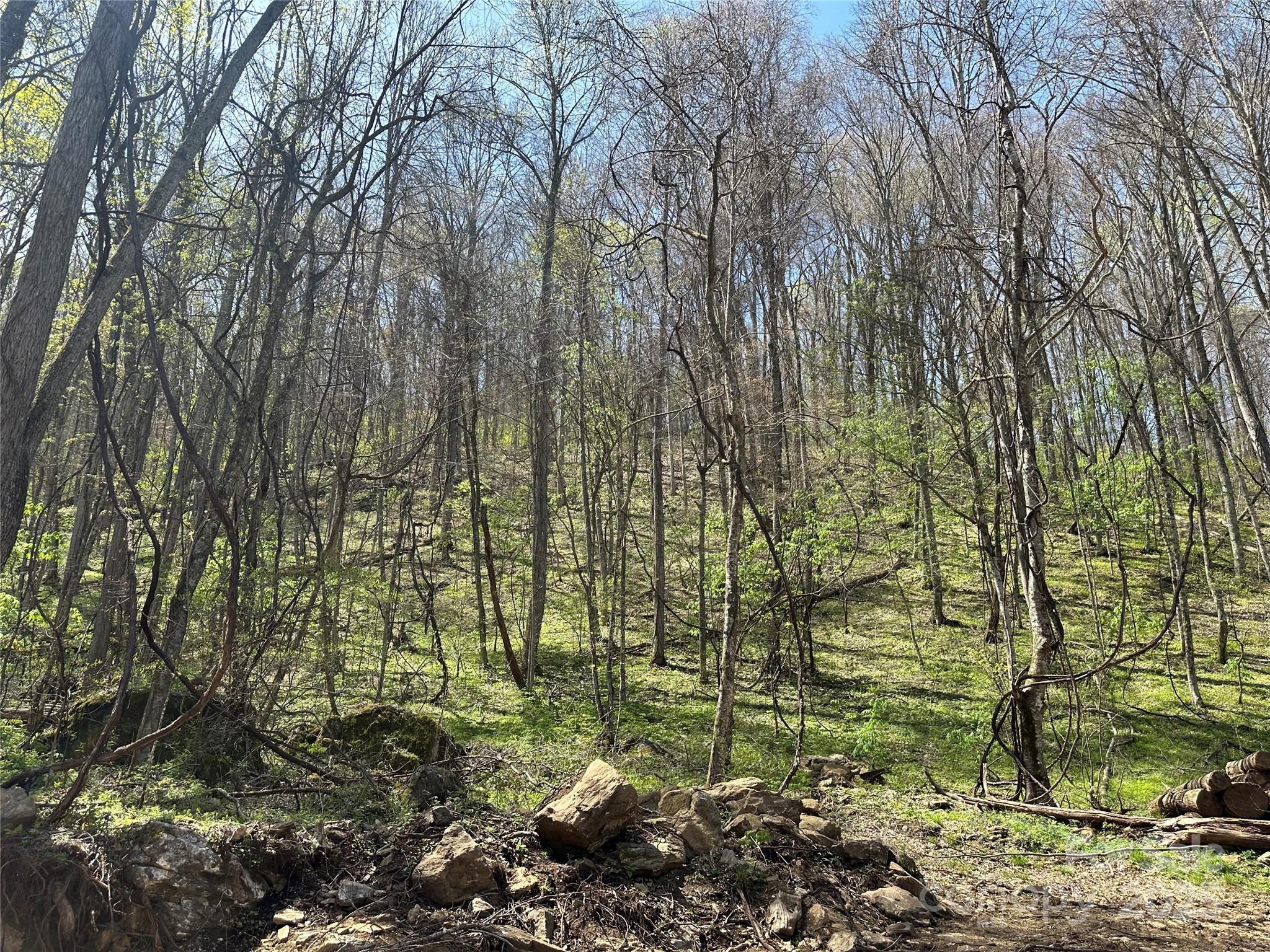 Tbd Sequoyah Drive Property Photo 21