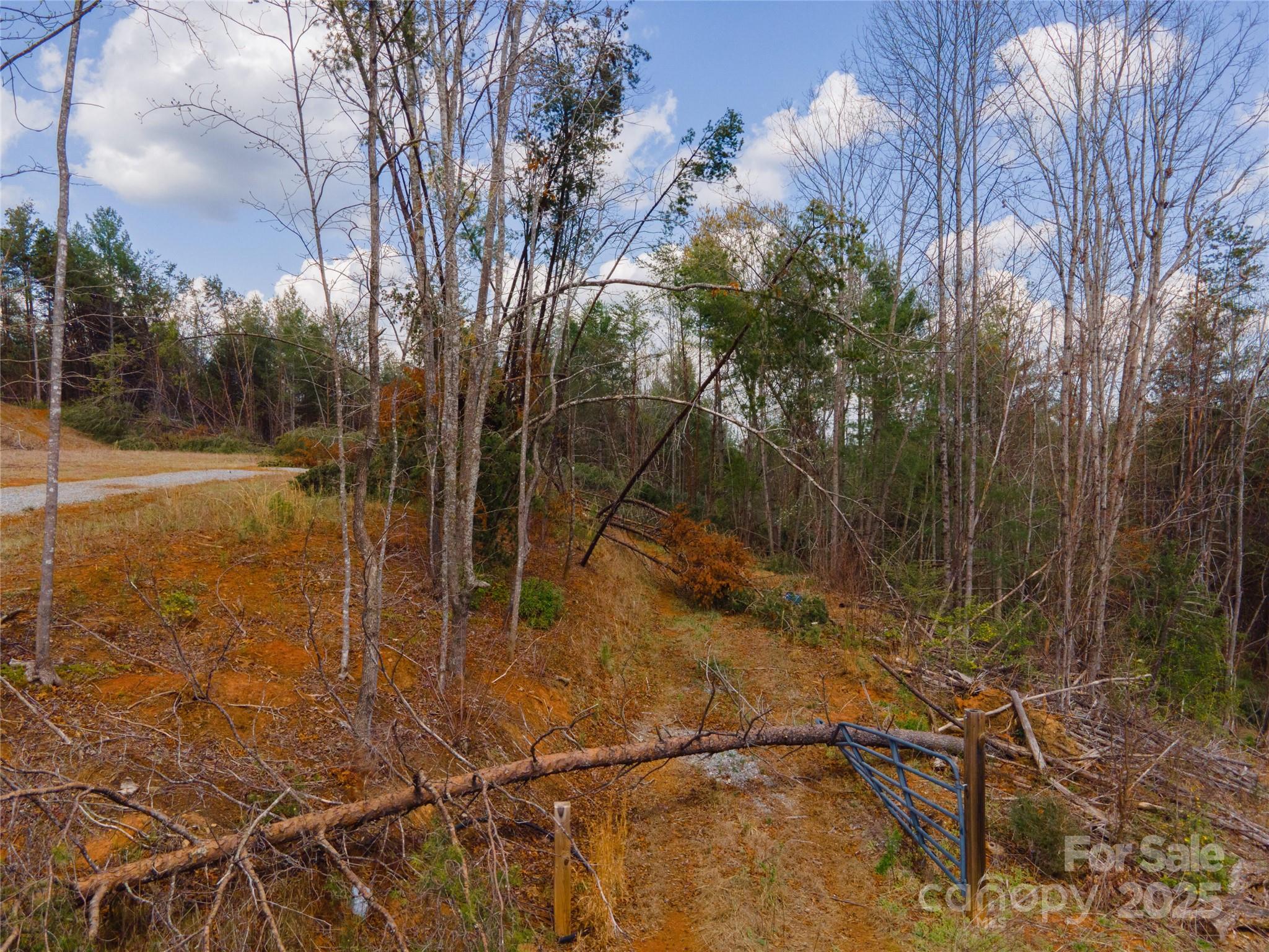 3824 Piedmont Road Property Photo 25