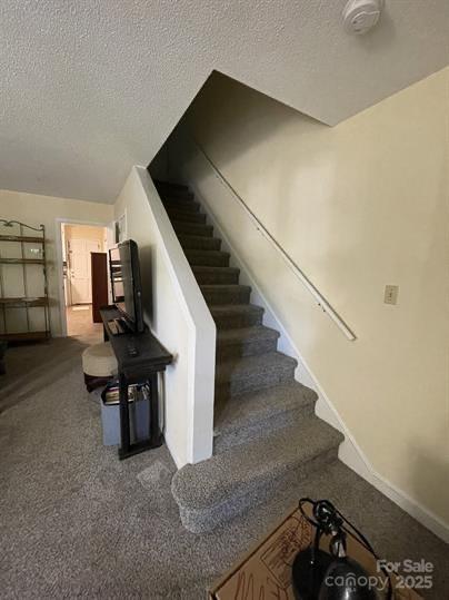 230 Park Lane Property Photo 11