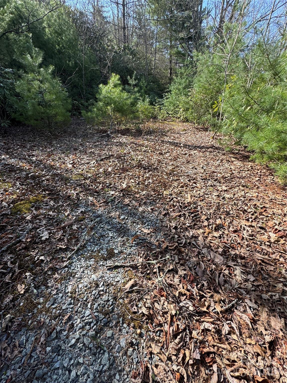 7797 Huskins Drive Property Photo 2