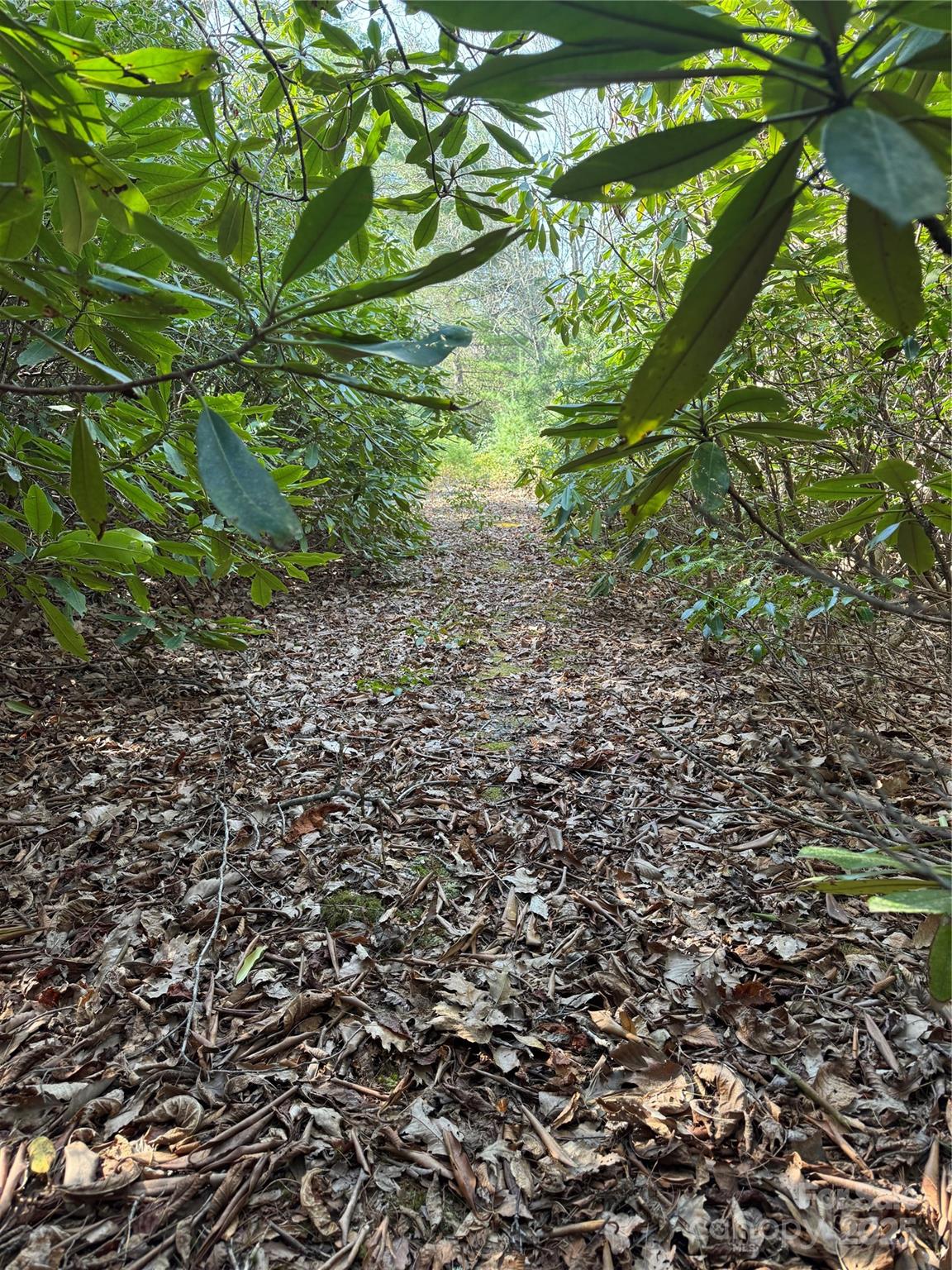 7797 Huskins Drive Property Photo 3