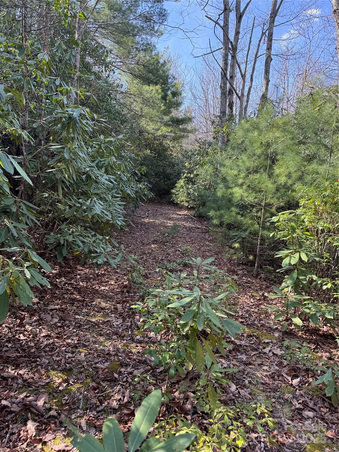 7797 Huskins Drive Property Photo 4