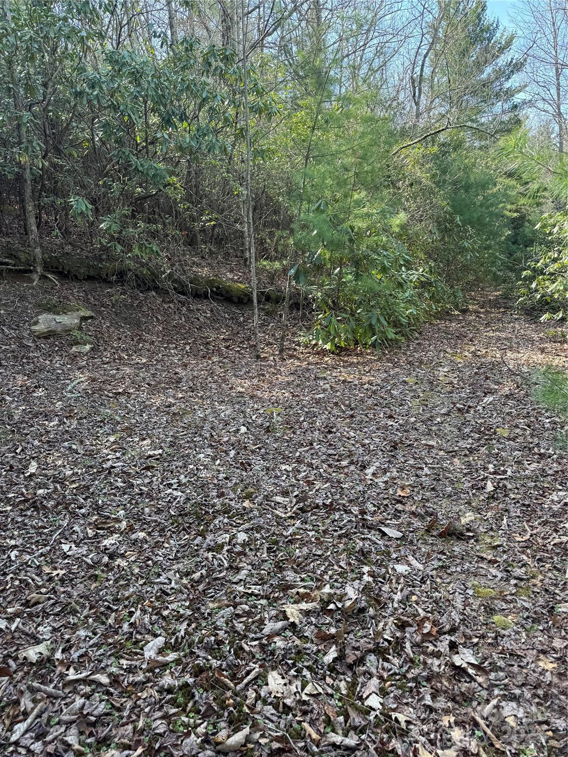 7797 Huskins Drive Property Photo 5