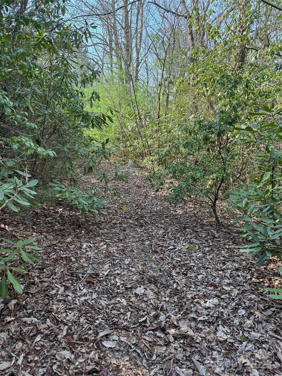 7797 Huskins Drive Property Photo 6